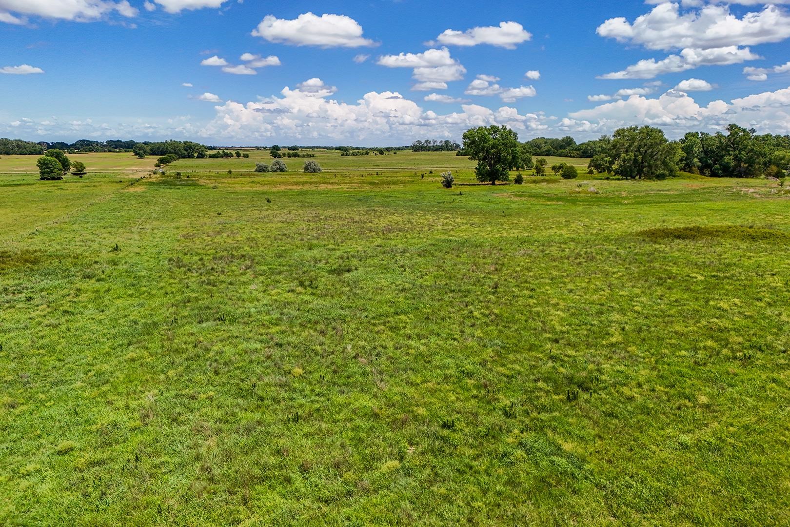 20+/- Acres N Berry Ave Property Photo 14