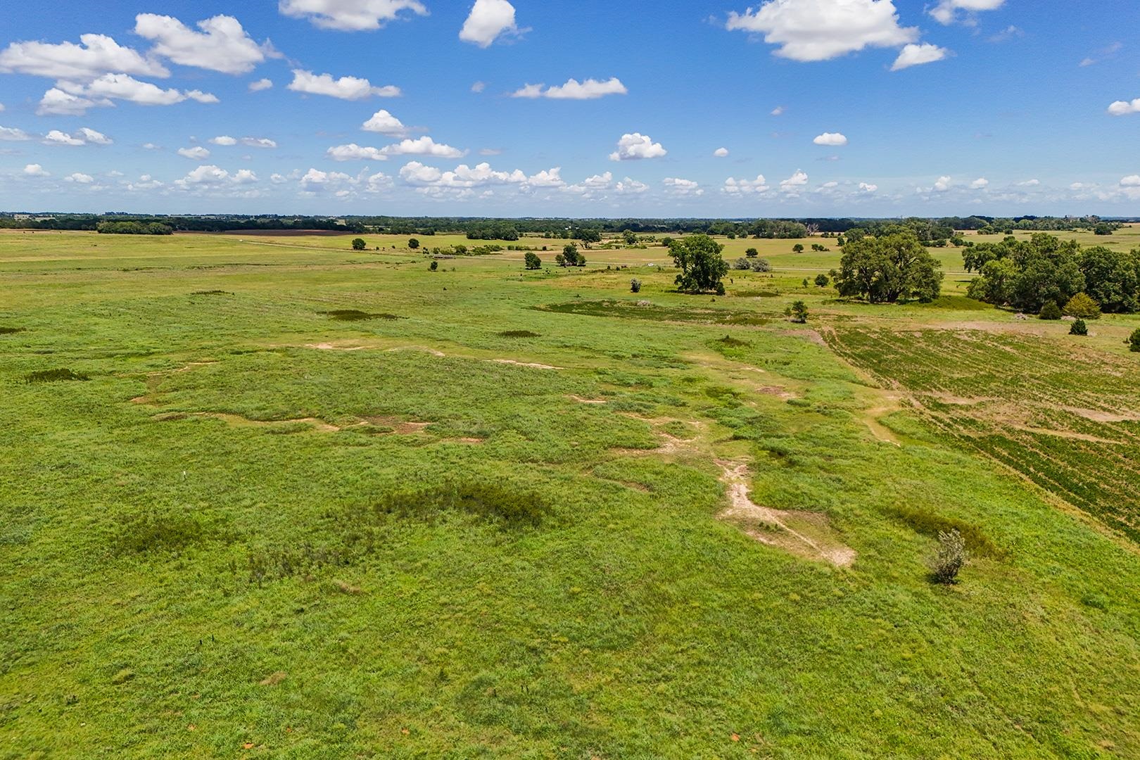 20+/- Acres N Berry Ave Property Photo 15