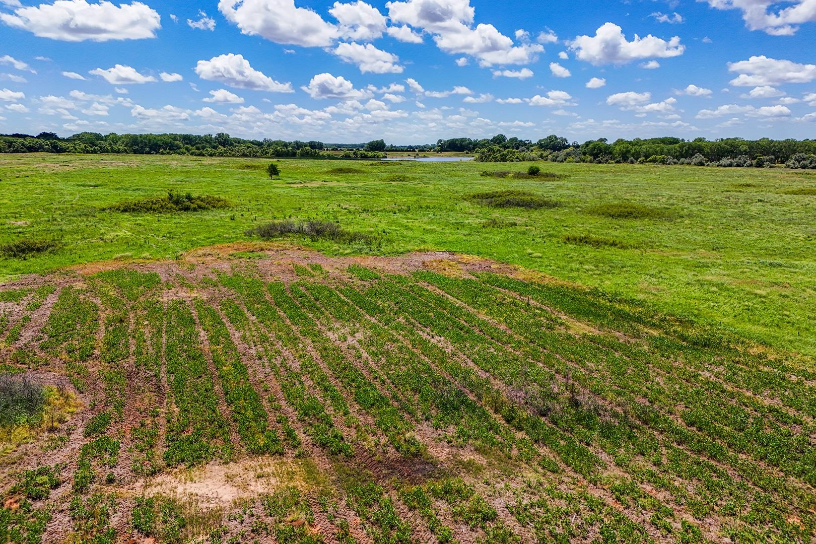 20+/- Acres N Berry Ave Property Photo 16