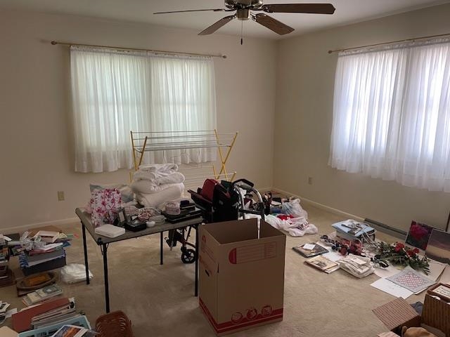 933 Spruce Street Property Photo 11