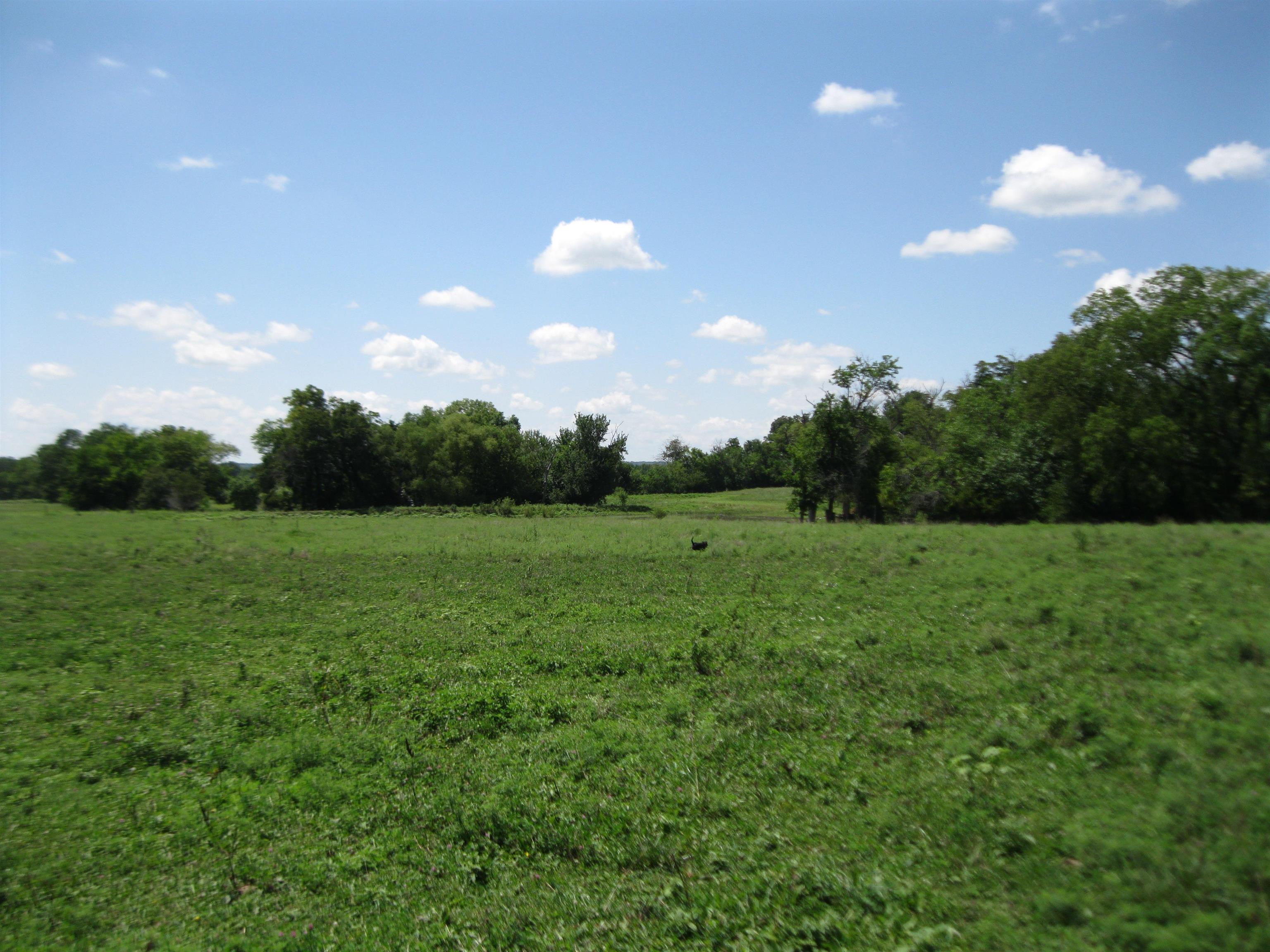 13390 Quinter Rd. Property Photo 18