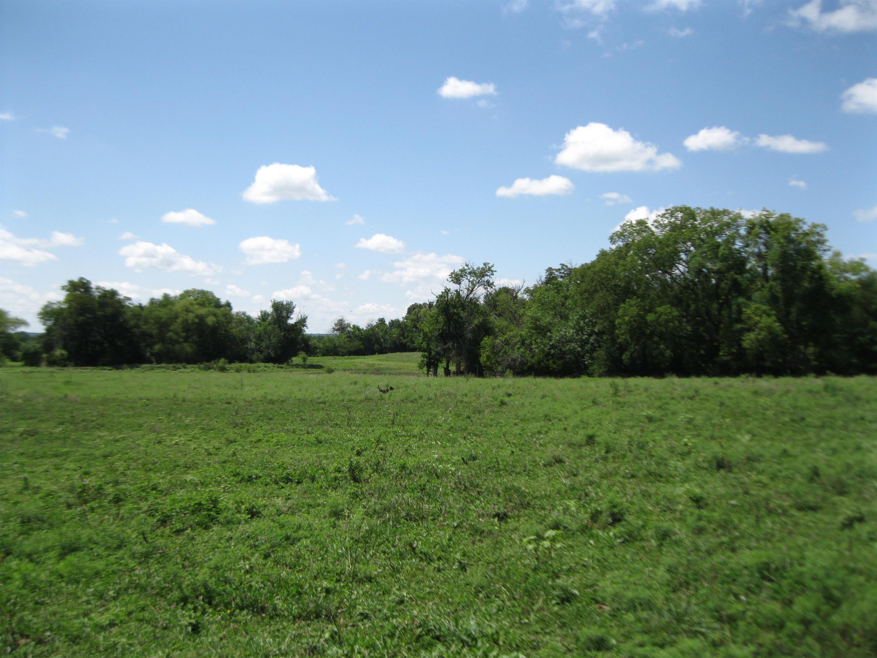 13390 Quinter Rd. Property Photo 19