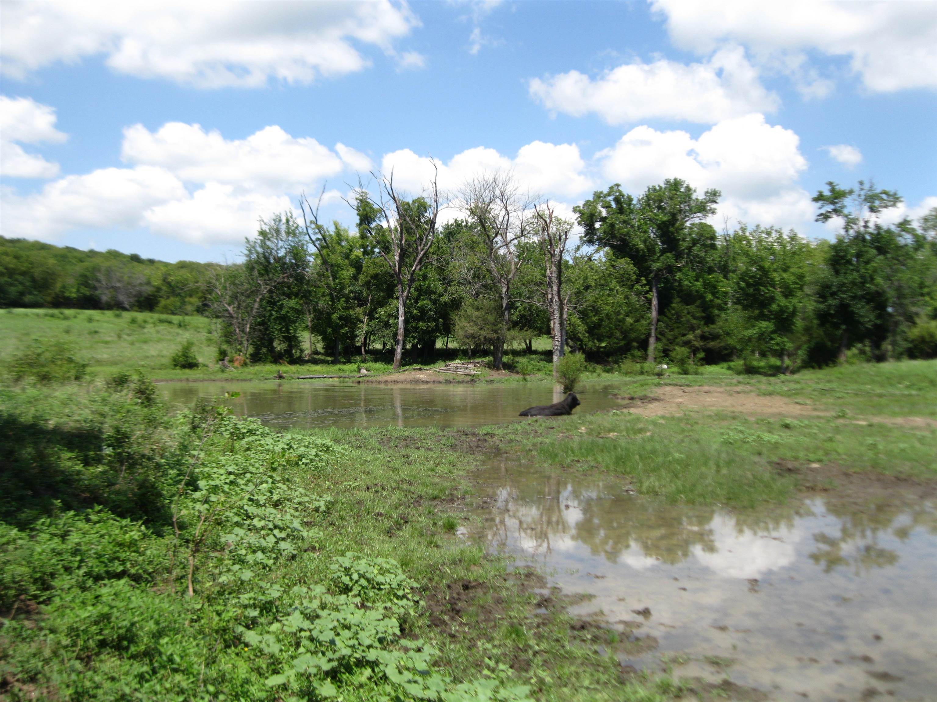 13390 Quinter Rd. Property Photo 20