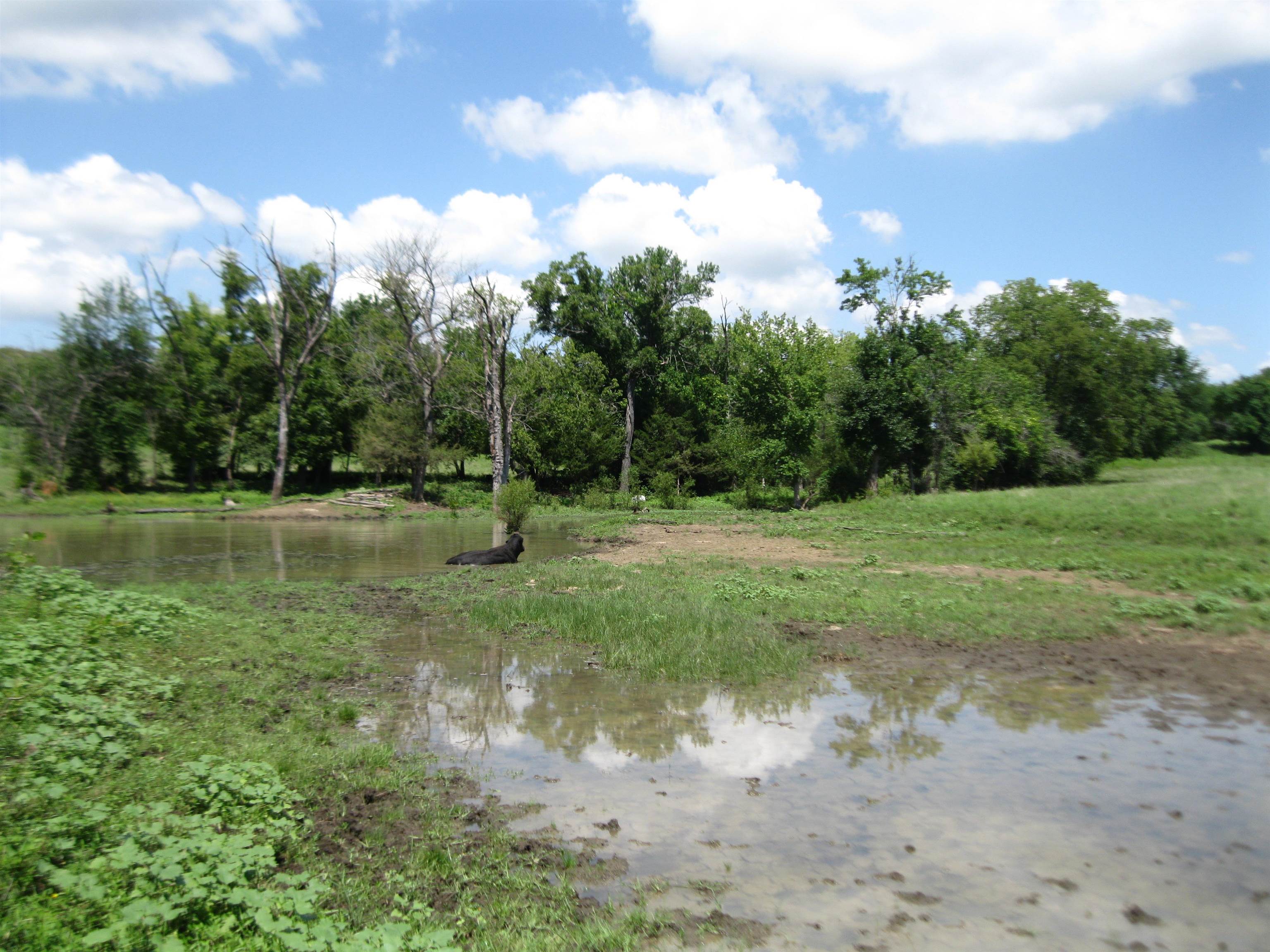 13390 Quinter Rd. Property Photo 21