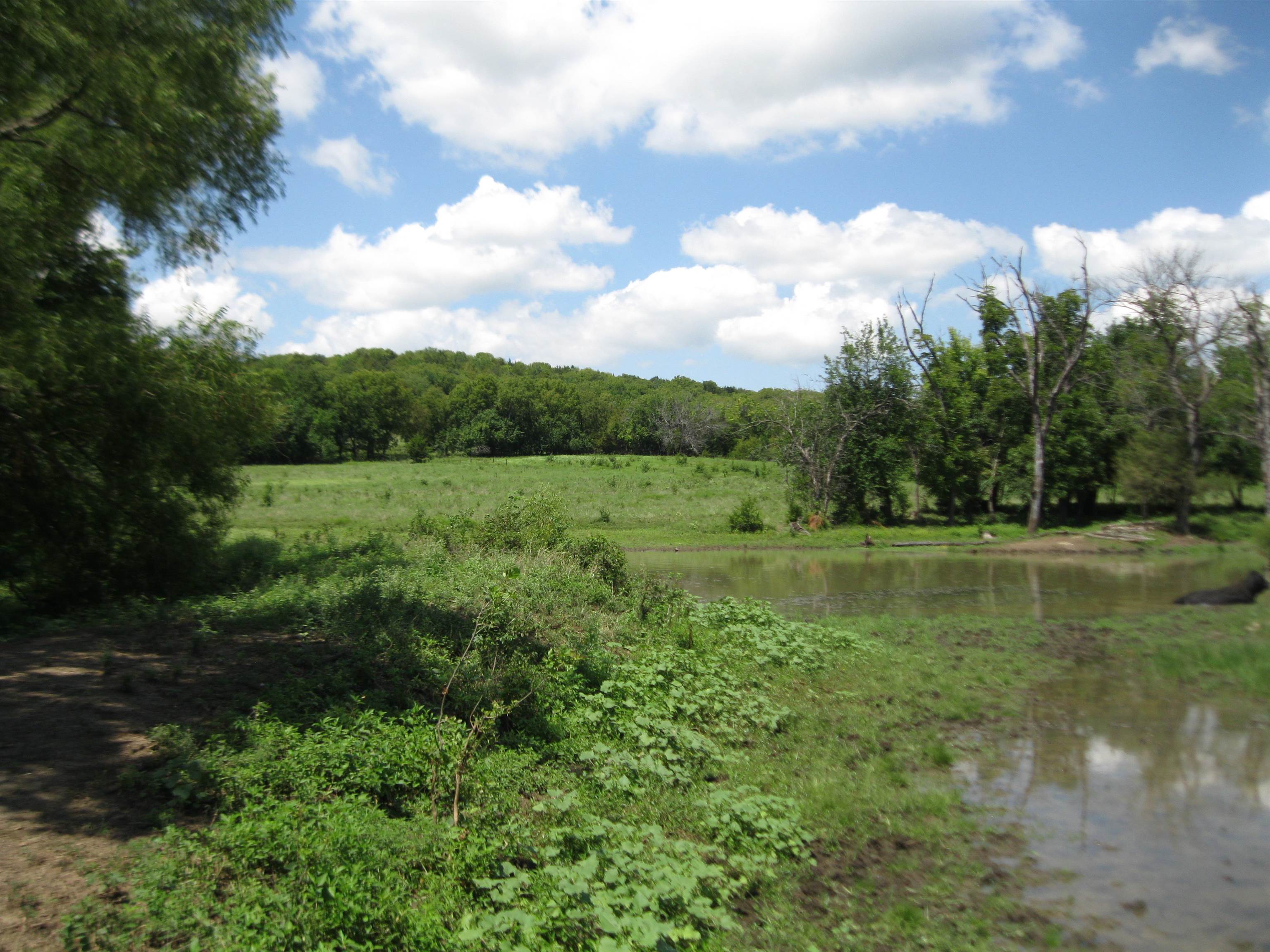 13390 Quinter Rd. Property Photo 22