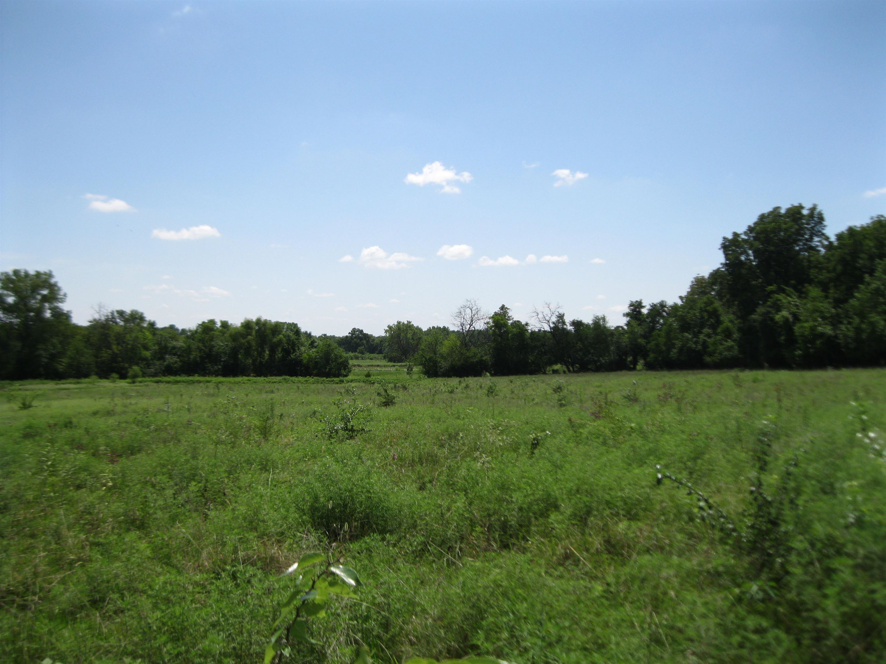 13390 Quinter Rd. Property Photo 25