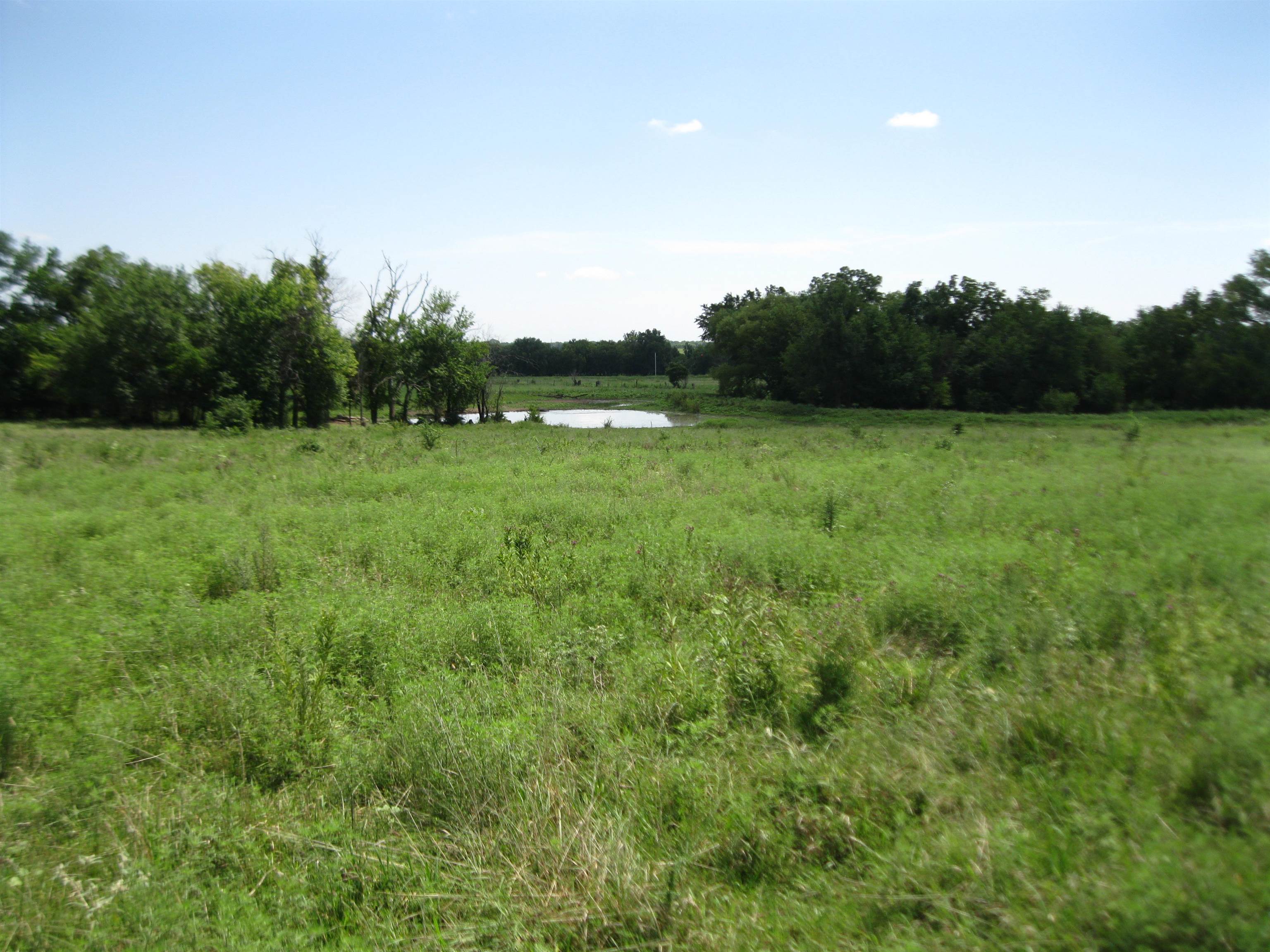 13390 Quinter Rd. Property Photo 26