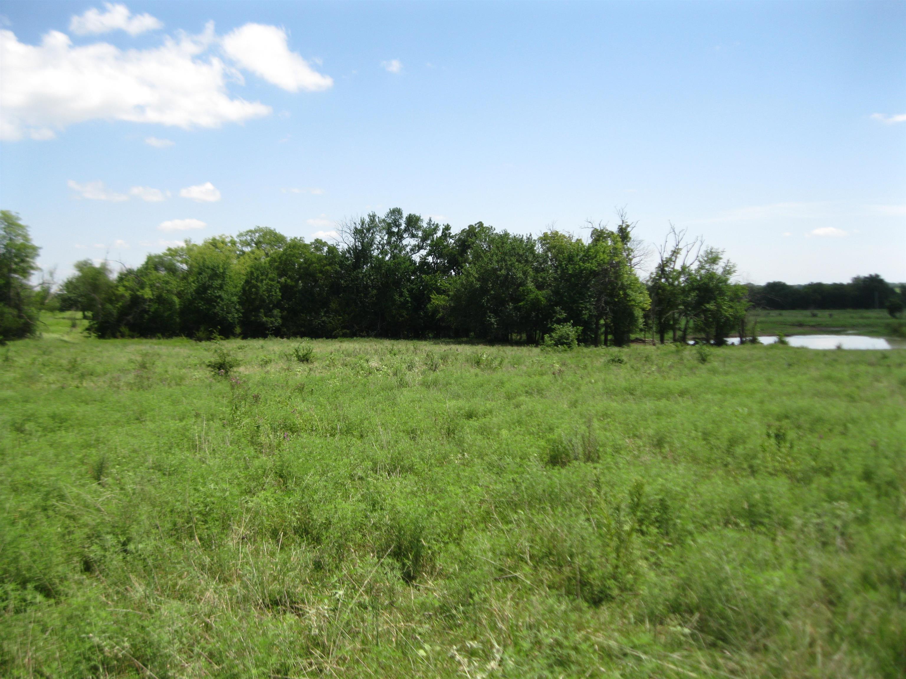 13390 Quinter Rd. Property Photo 27
