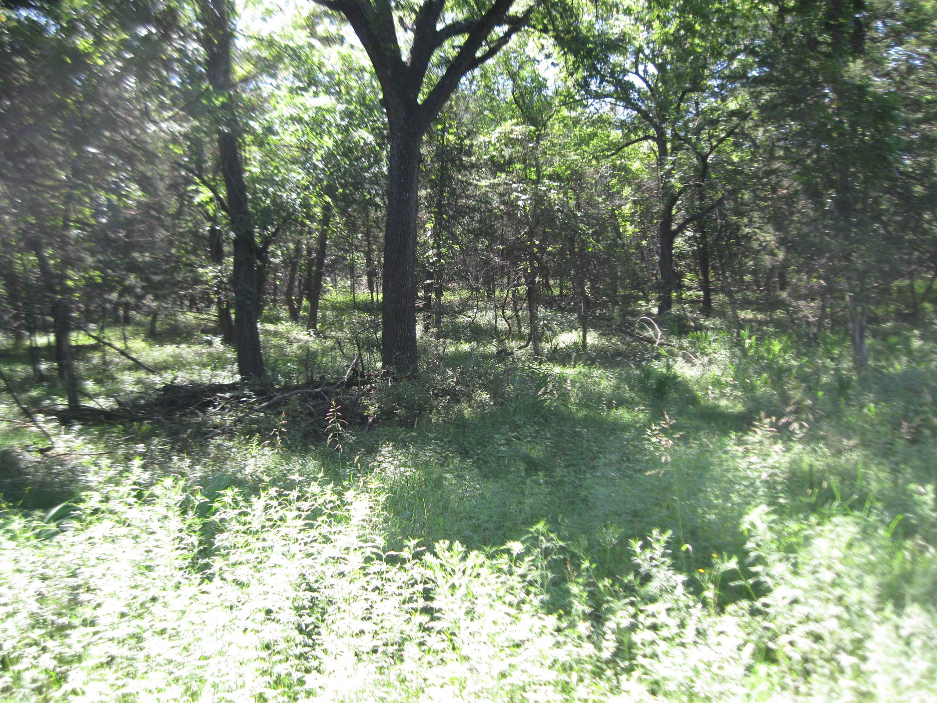 13390 Quinter Rd. Property Photo 31