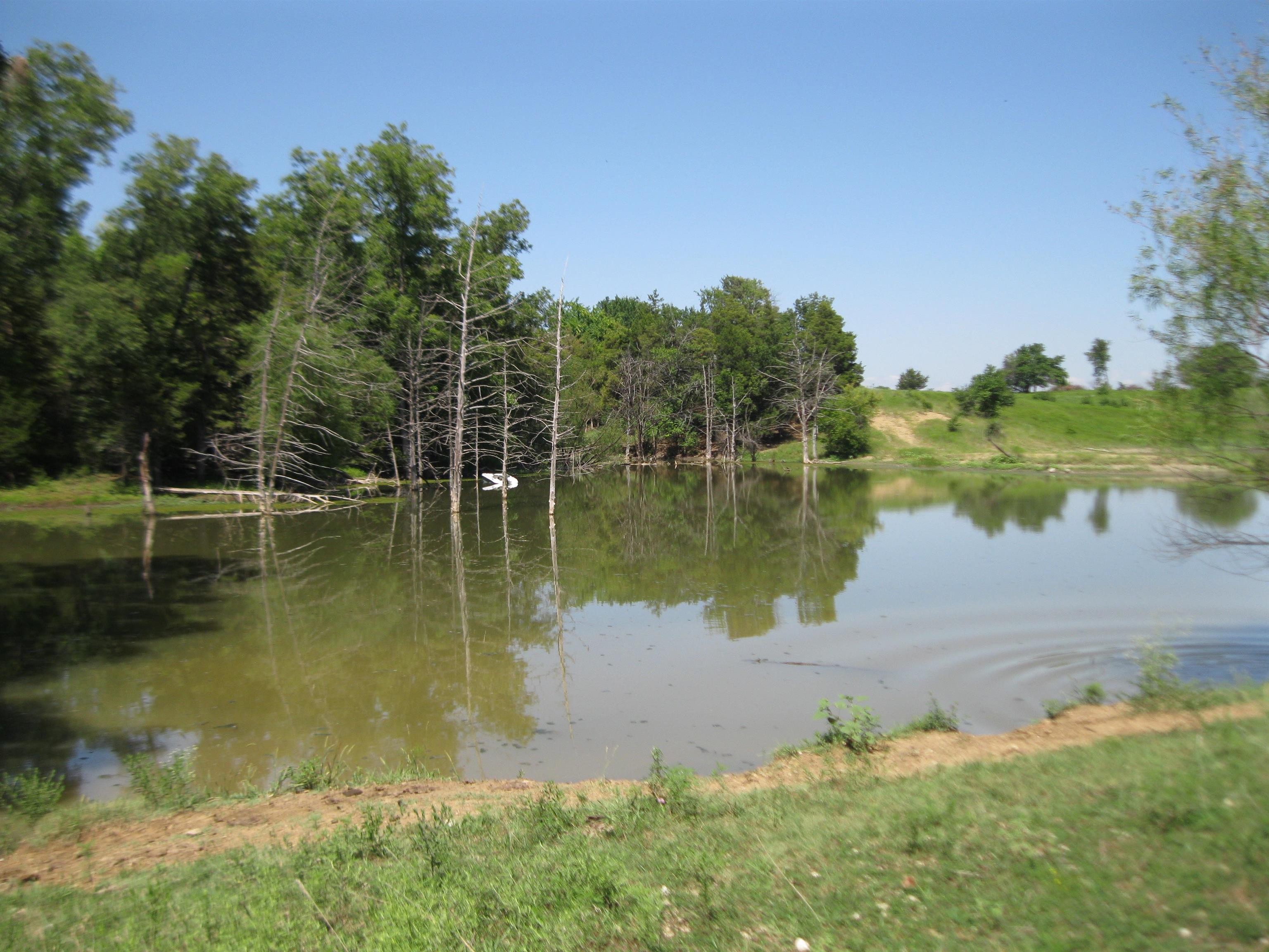 13390 Quinter Rd. Property Photo 33