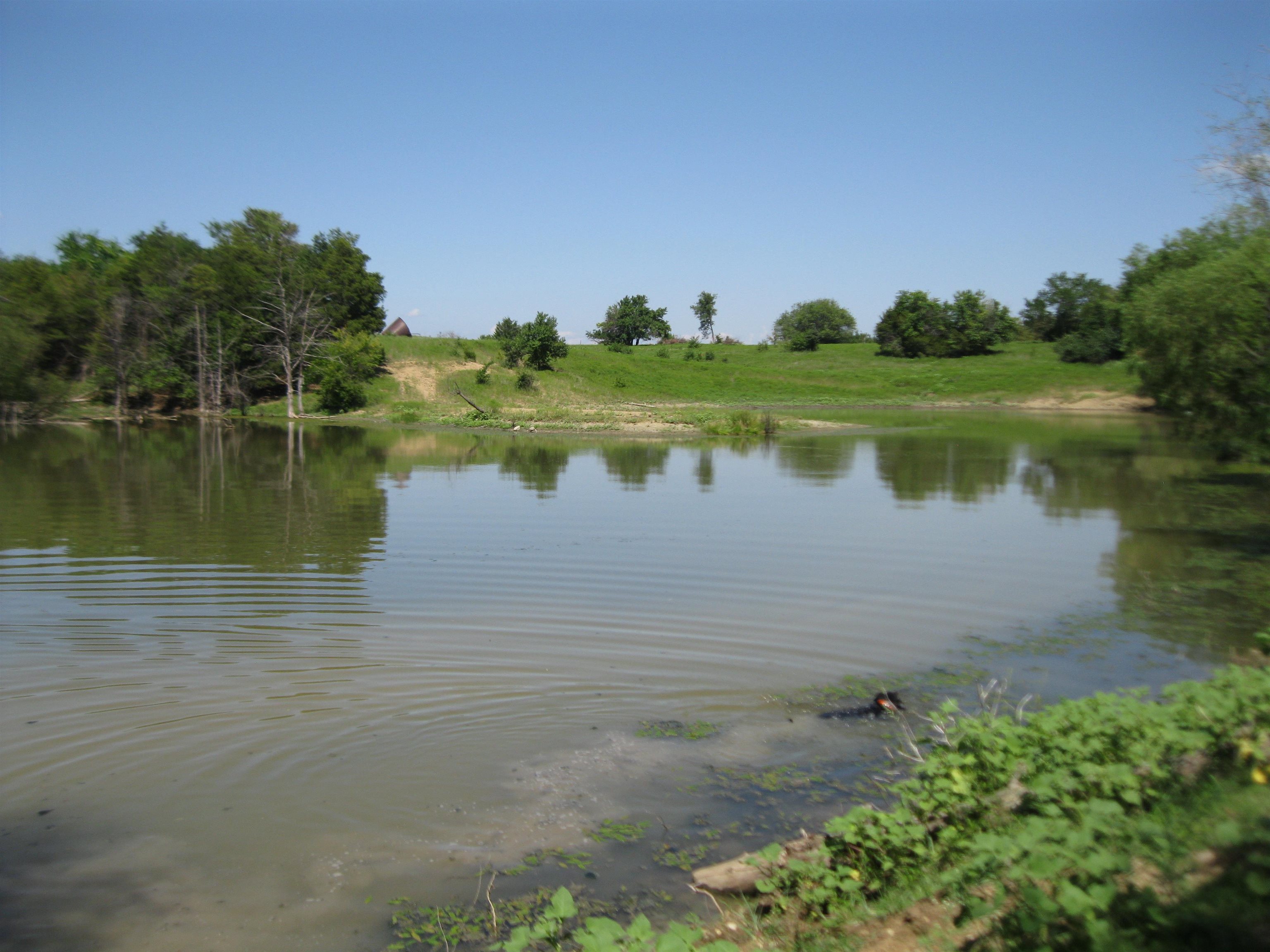 13390 Quinter Rd. Property Photo 34
