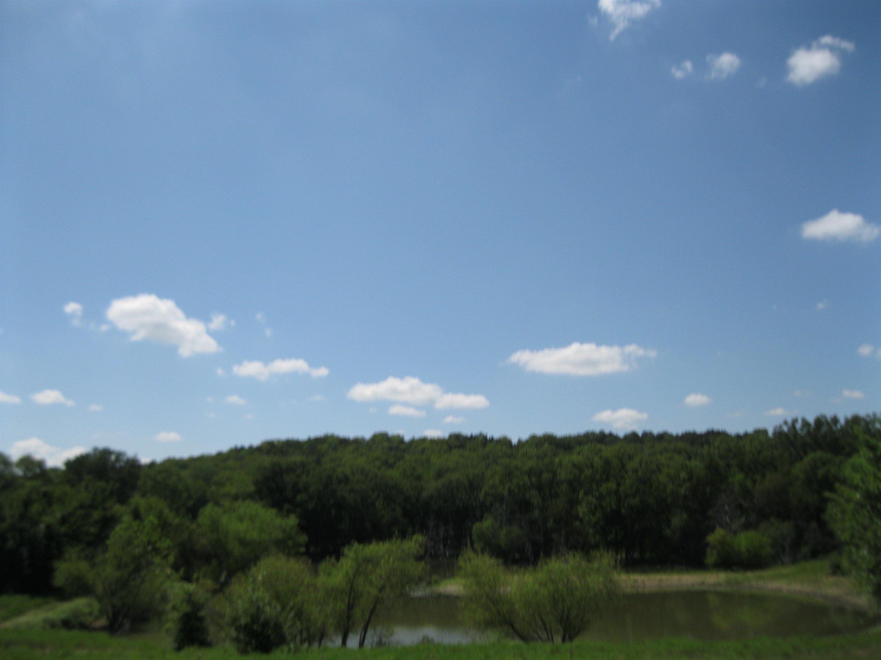 13390 Quinter Rd. Property Photo 35