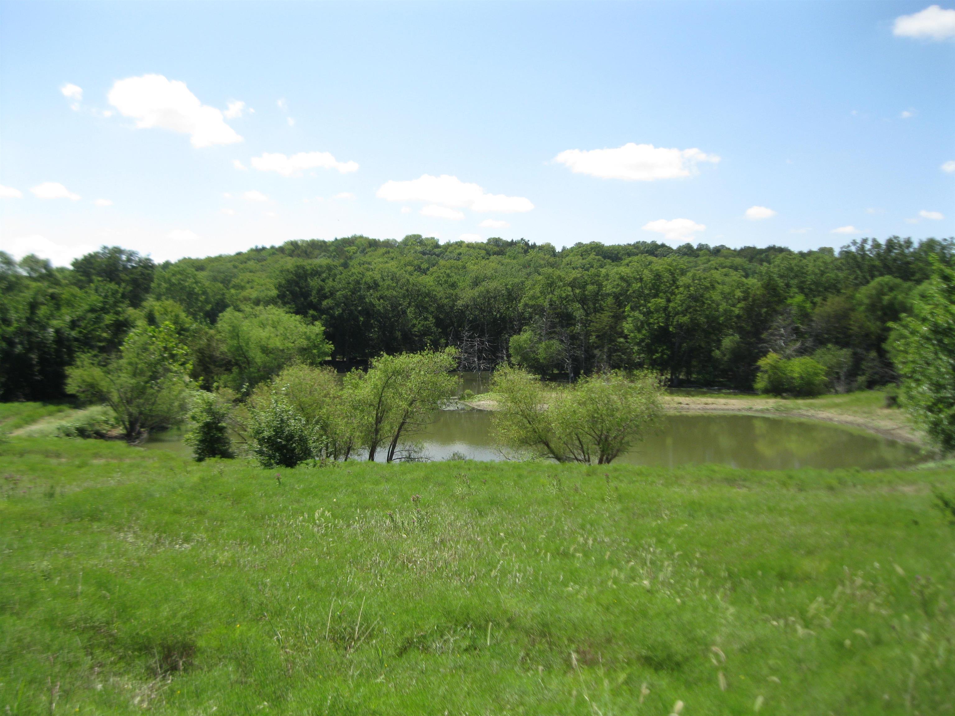 13390 Quinter Rd. Property Photo 36