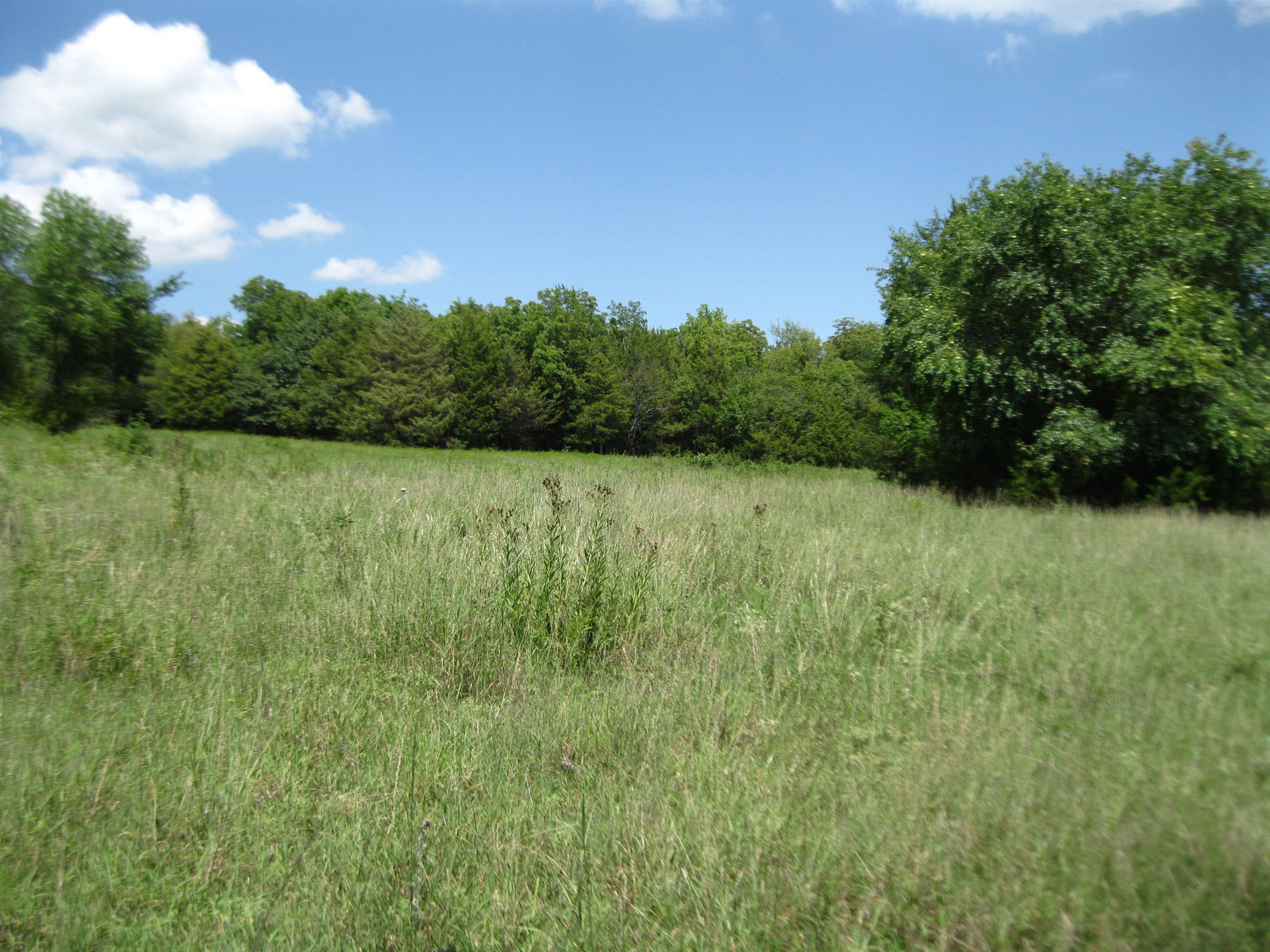 0 Quinter Rd. Property Photo 1