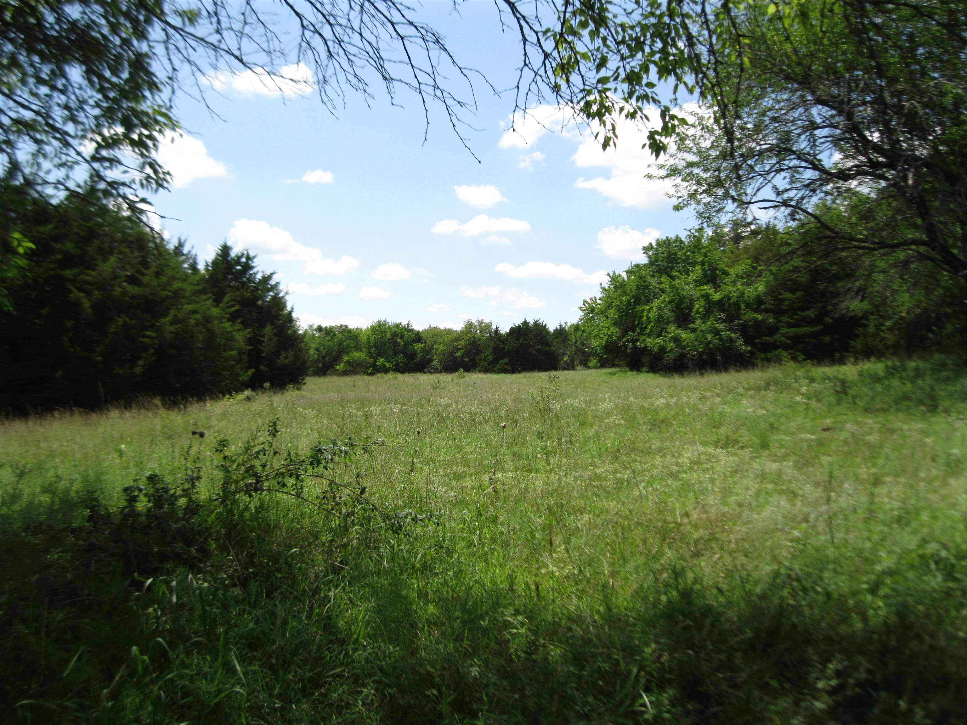 0 Quinter Rd. Property Photo 2