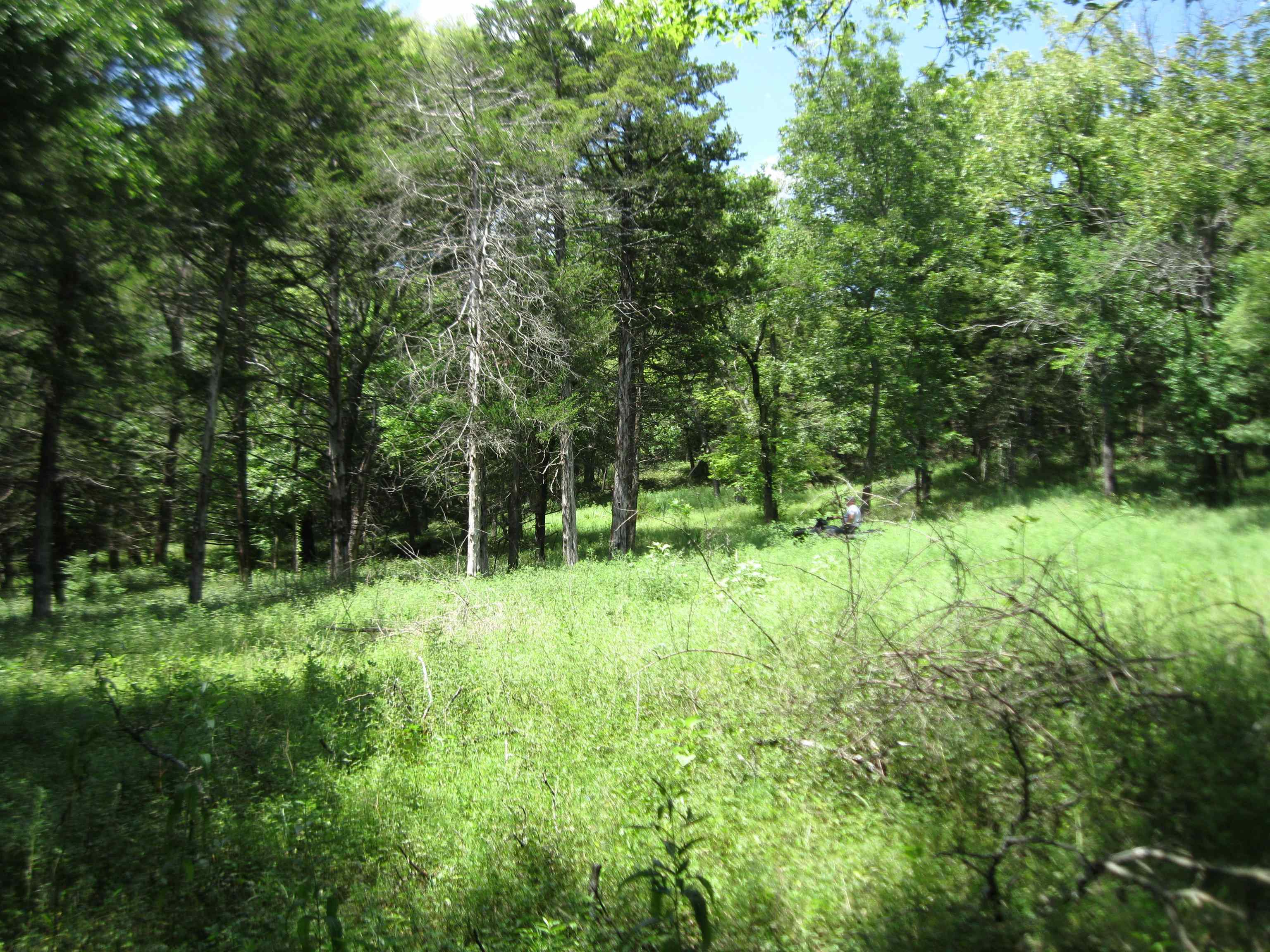 0 Quinter Rd. Property Photo 3