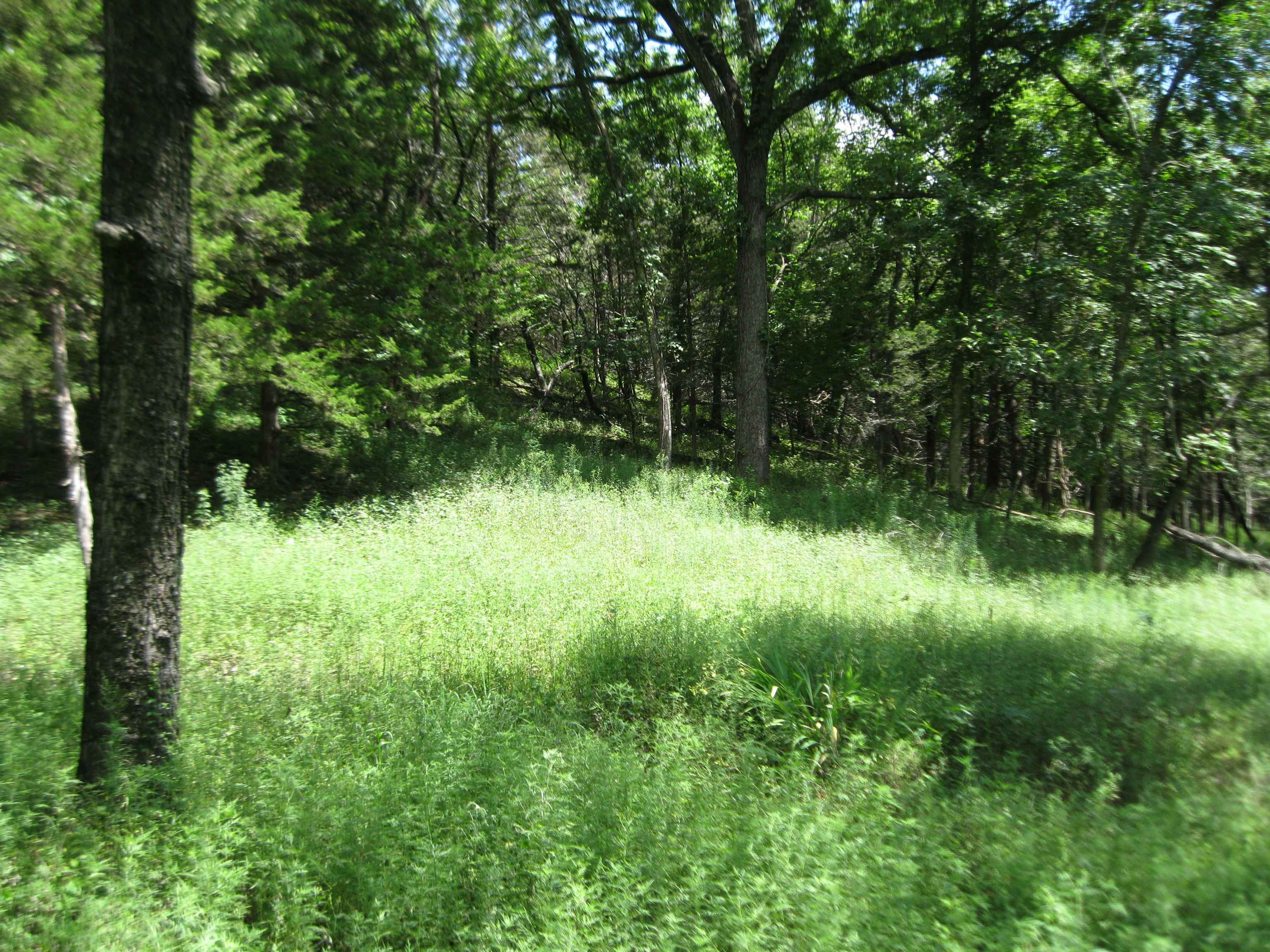 0 Quinter Rd. Property Photo 4