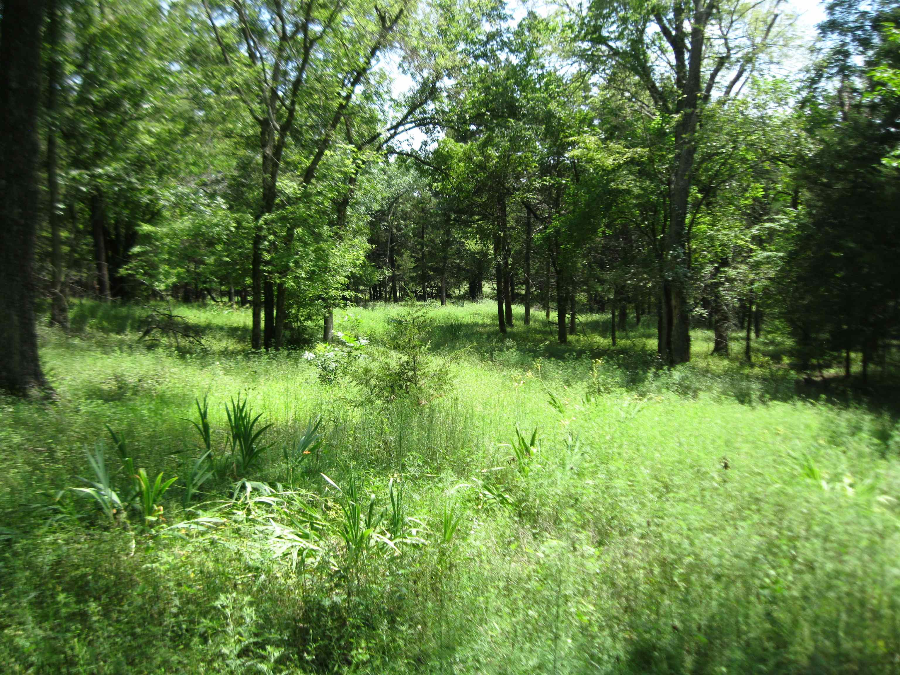 0 Quinter Rd. Property Photo 5