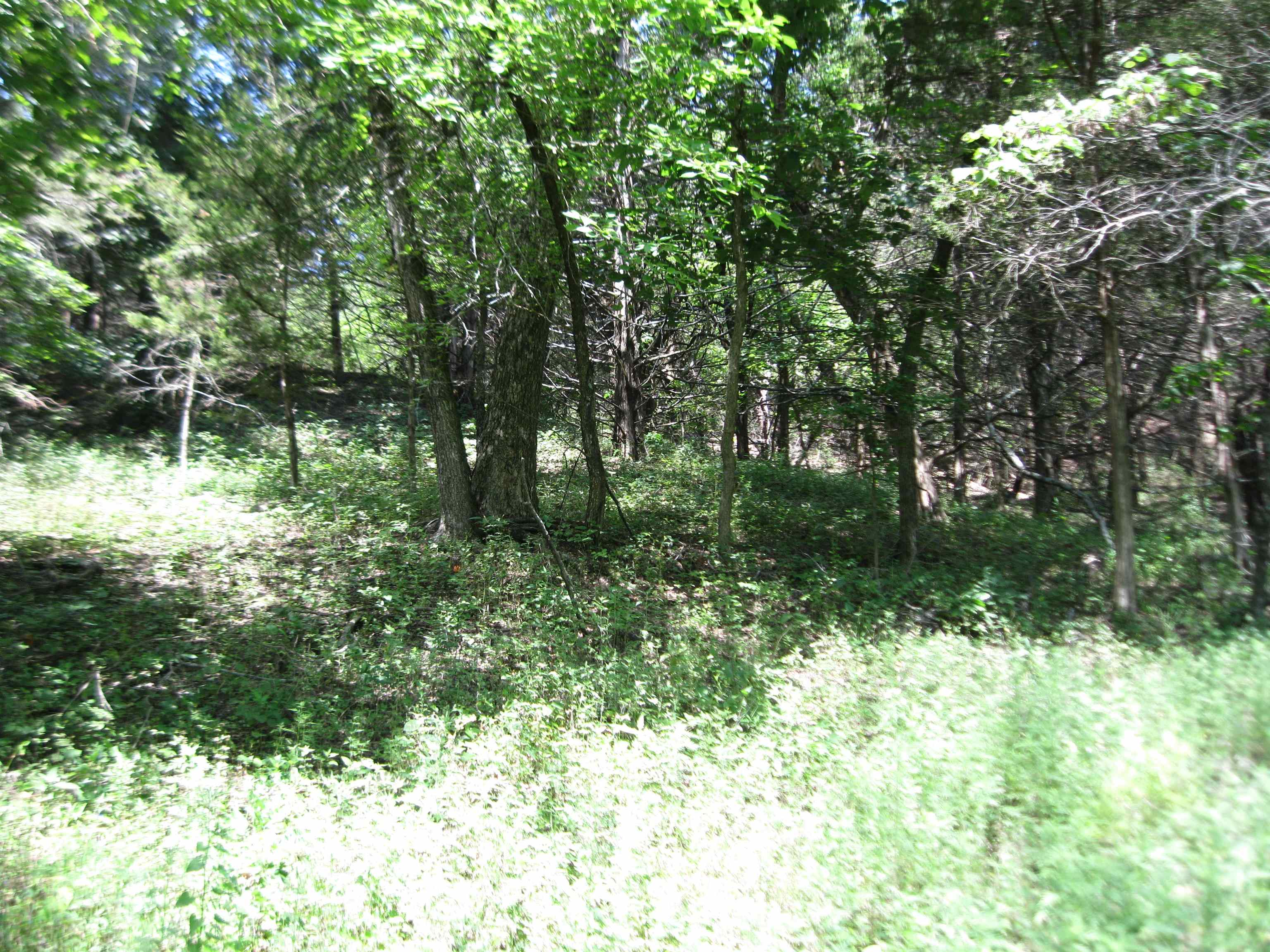 0 Quinter Rd. Property Photo 6