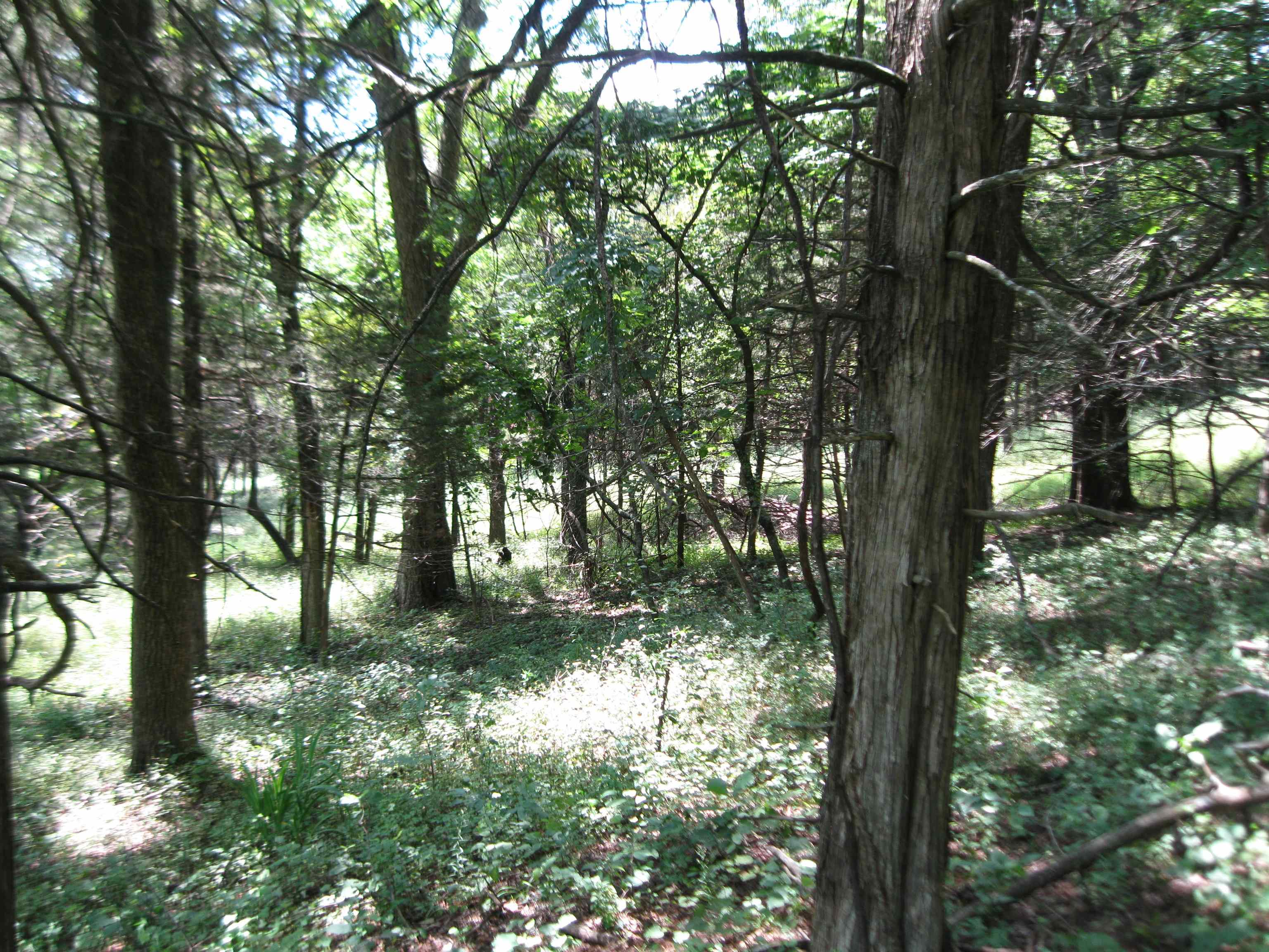 0 Quinter Rd. Property Photo 7