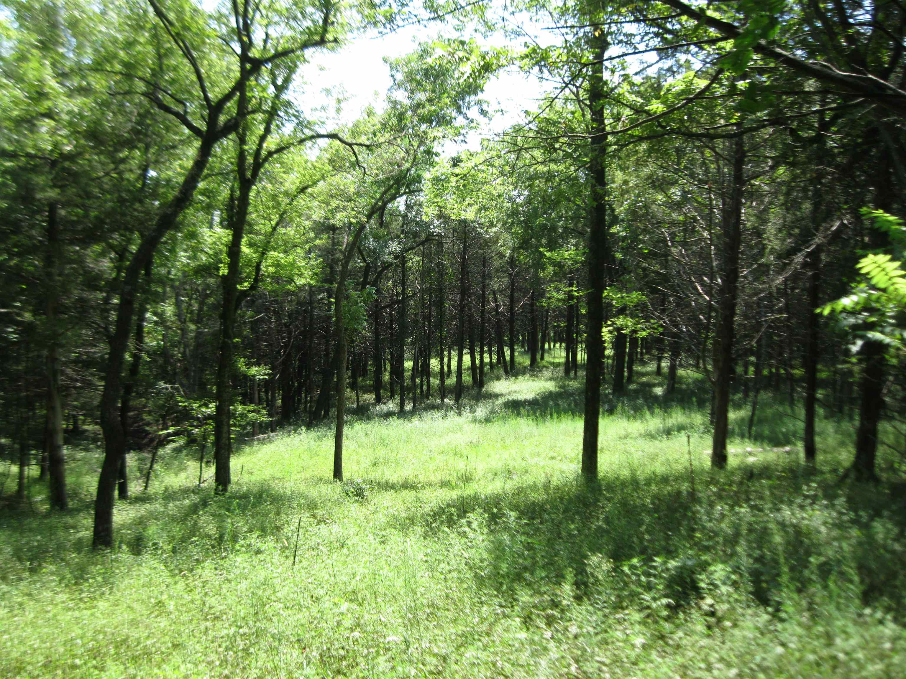 0 Quinter Rd. Property Photo 8