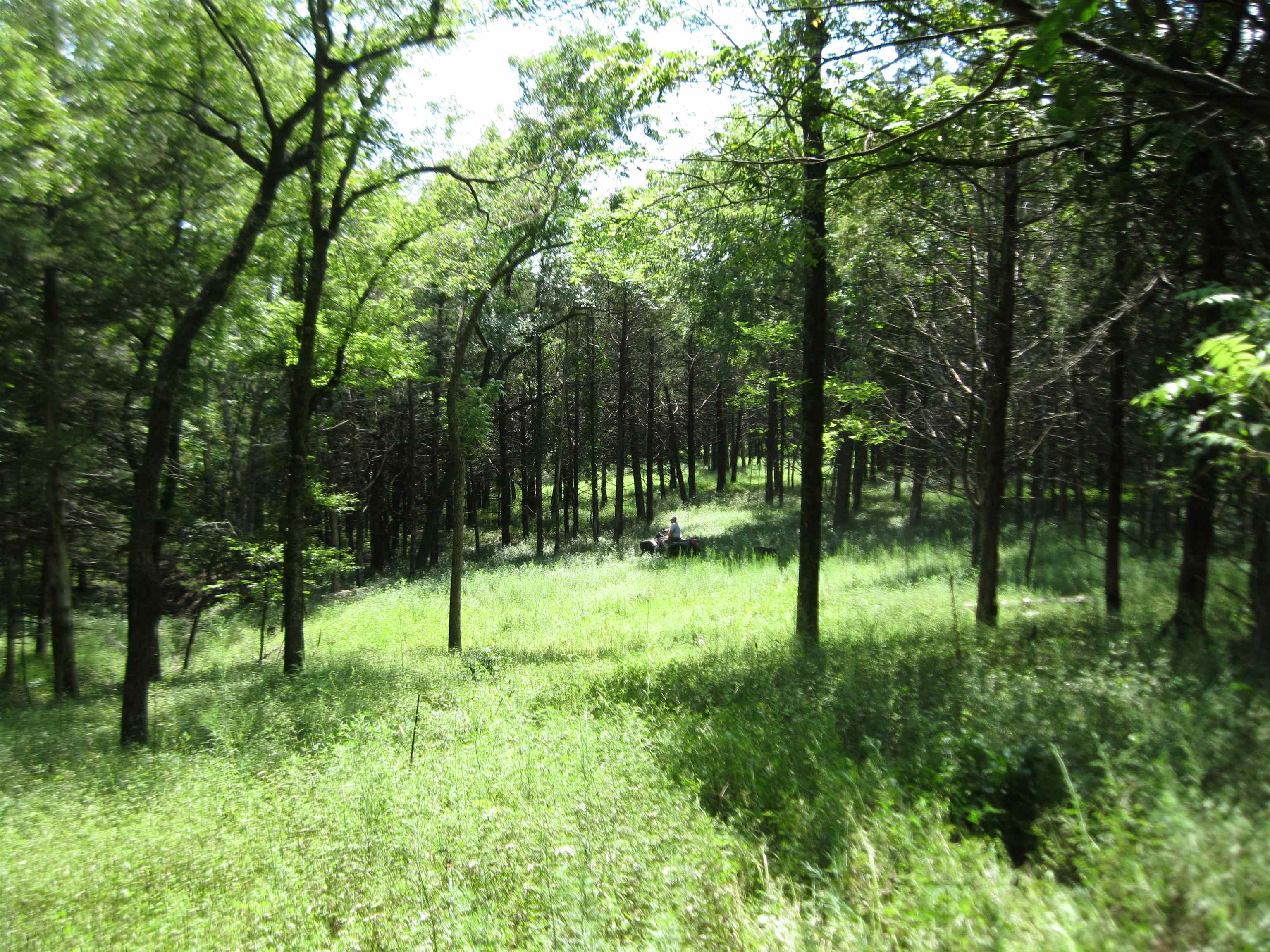 0 Quinter Rd. Property Photo 9