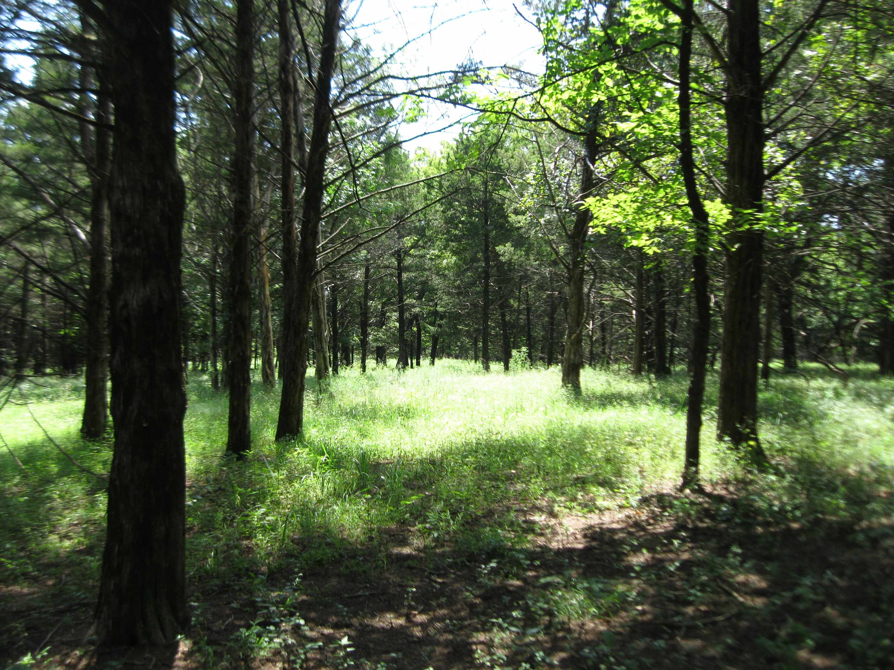0 Quinter Rd. Property Photo 11