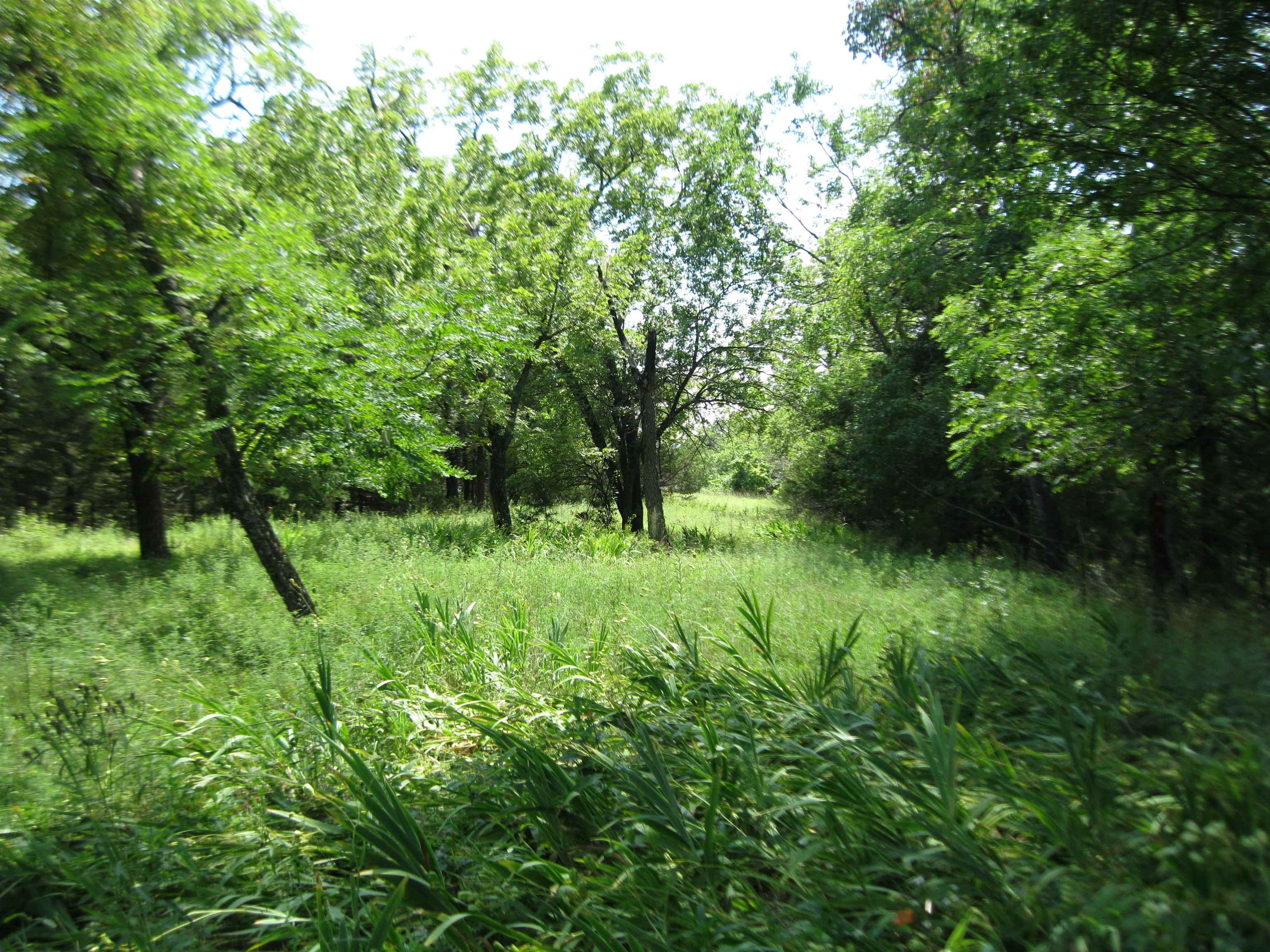 0 Quinter Rd. Property Photo 12