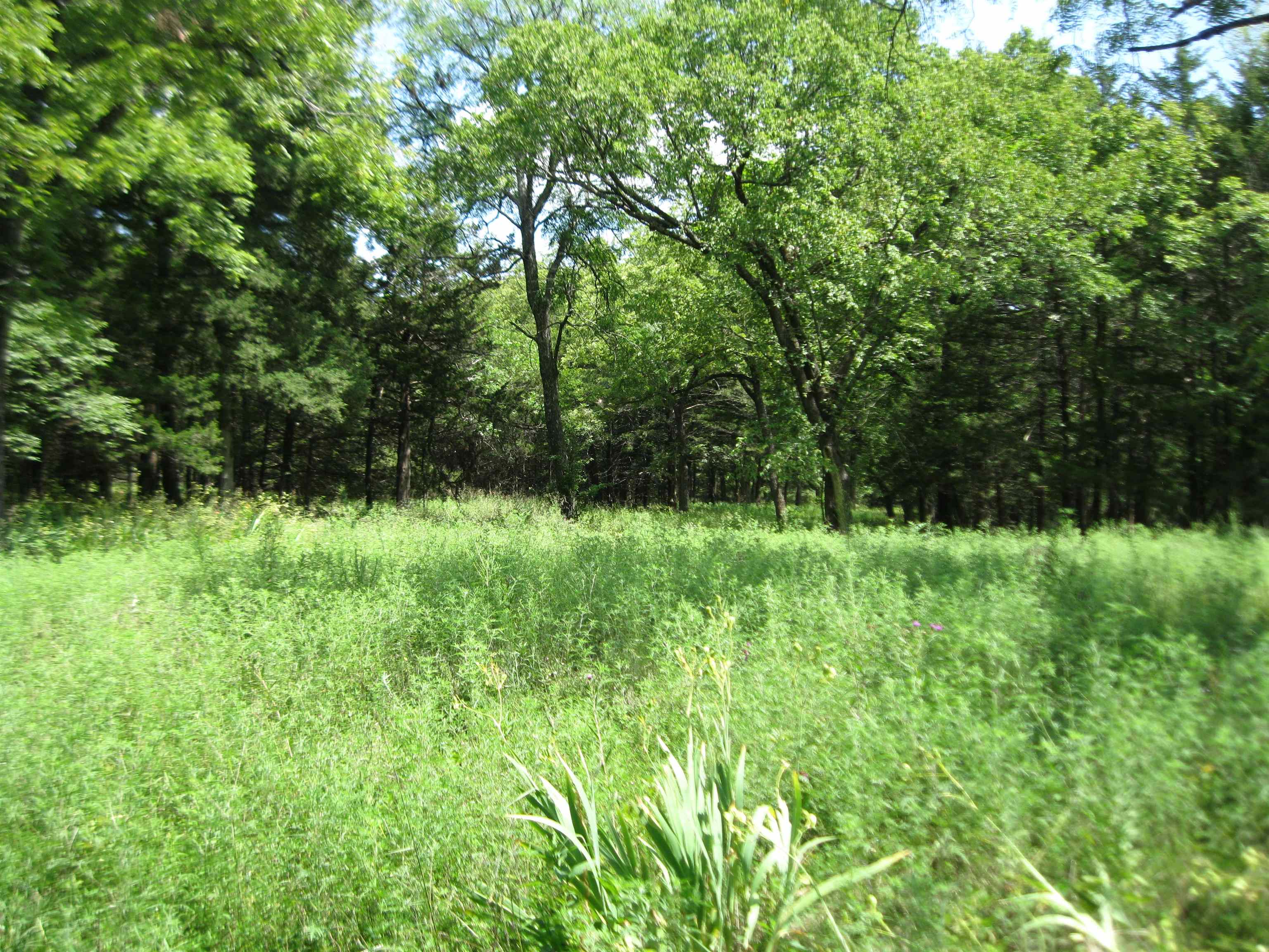 0 Quinter Rd. Property Photo 13