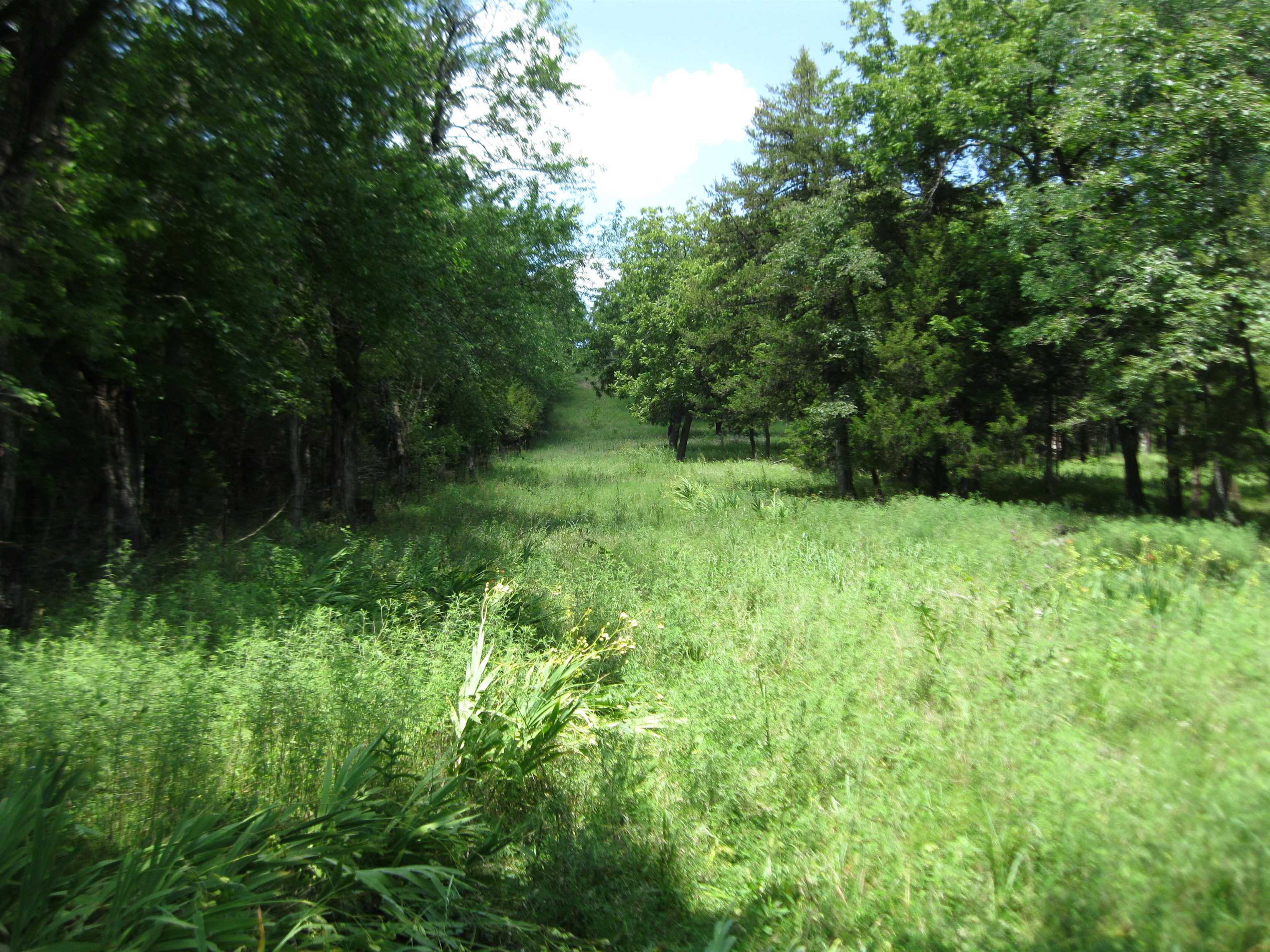 0 Quinter Rd. Property Photo 14