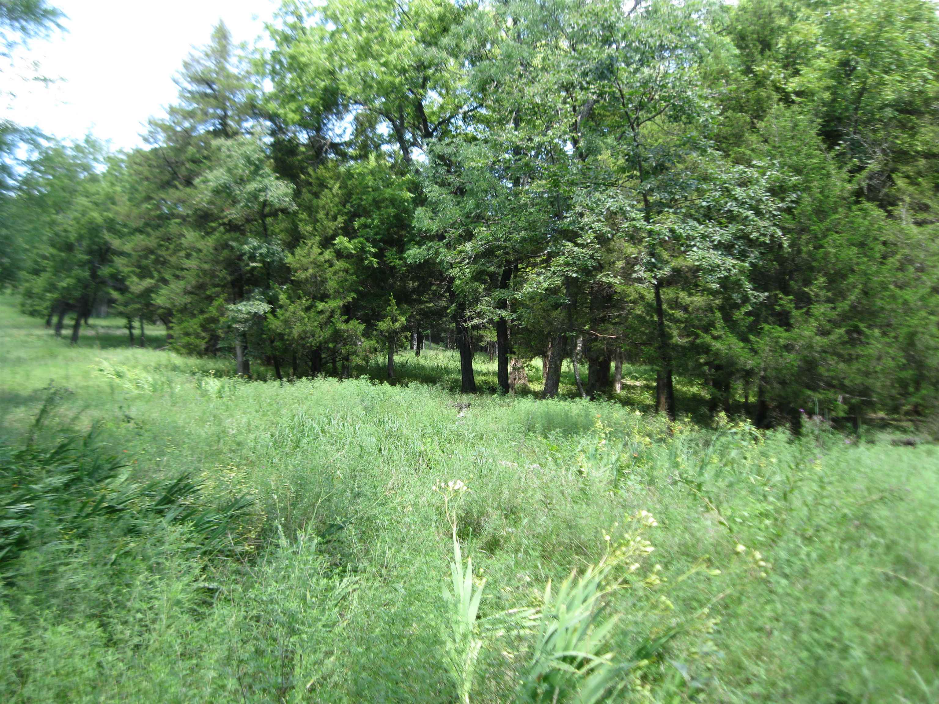 0 Quinter Rd. Property Photo 15