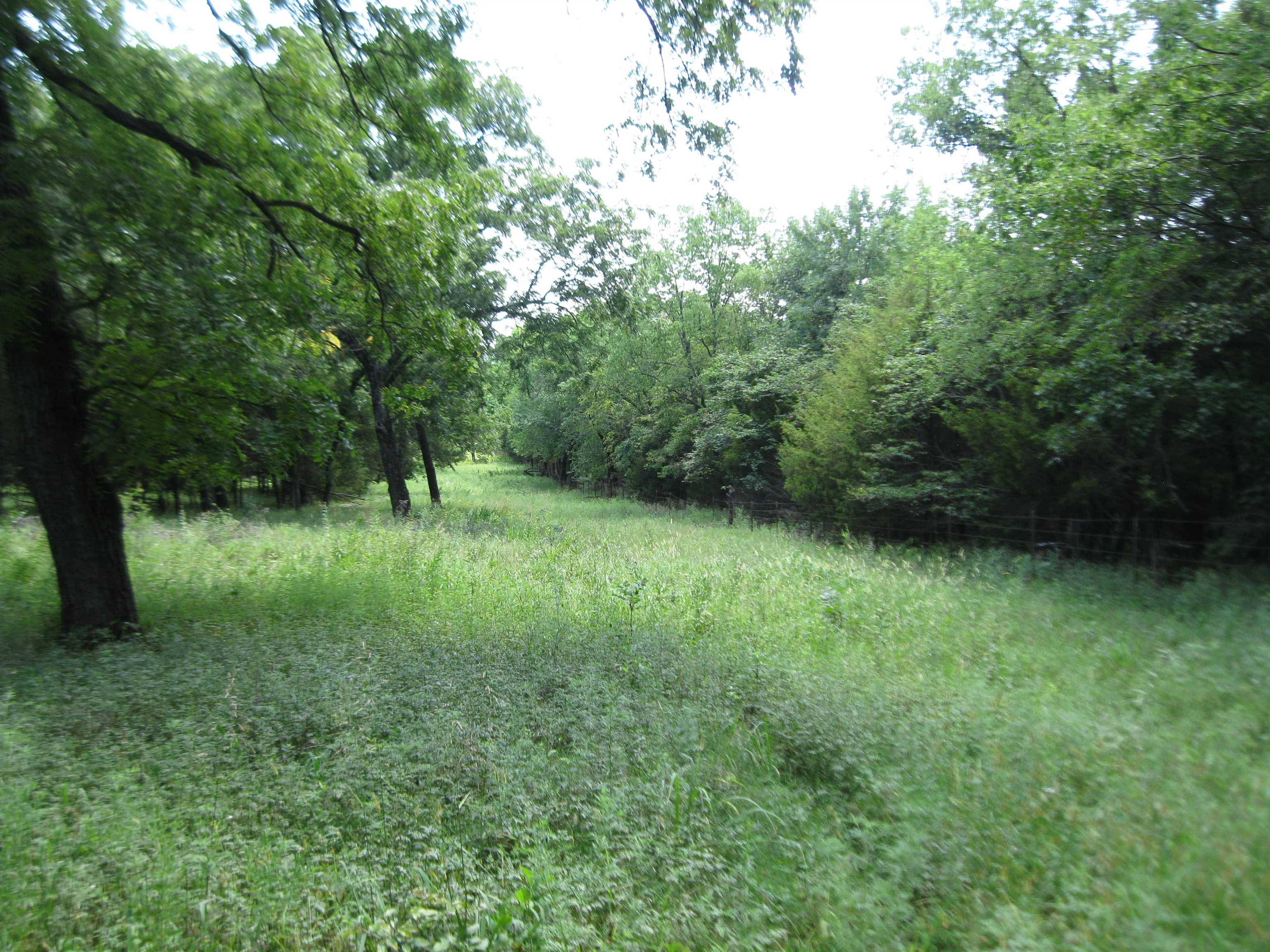 0 Quinter Rd. Property Photo 16