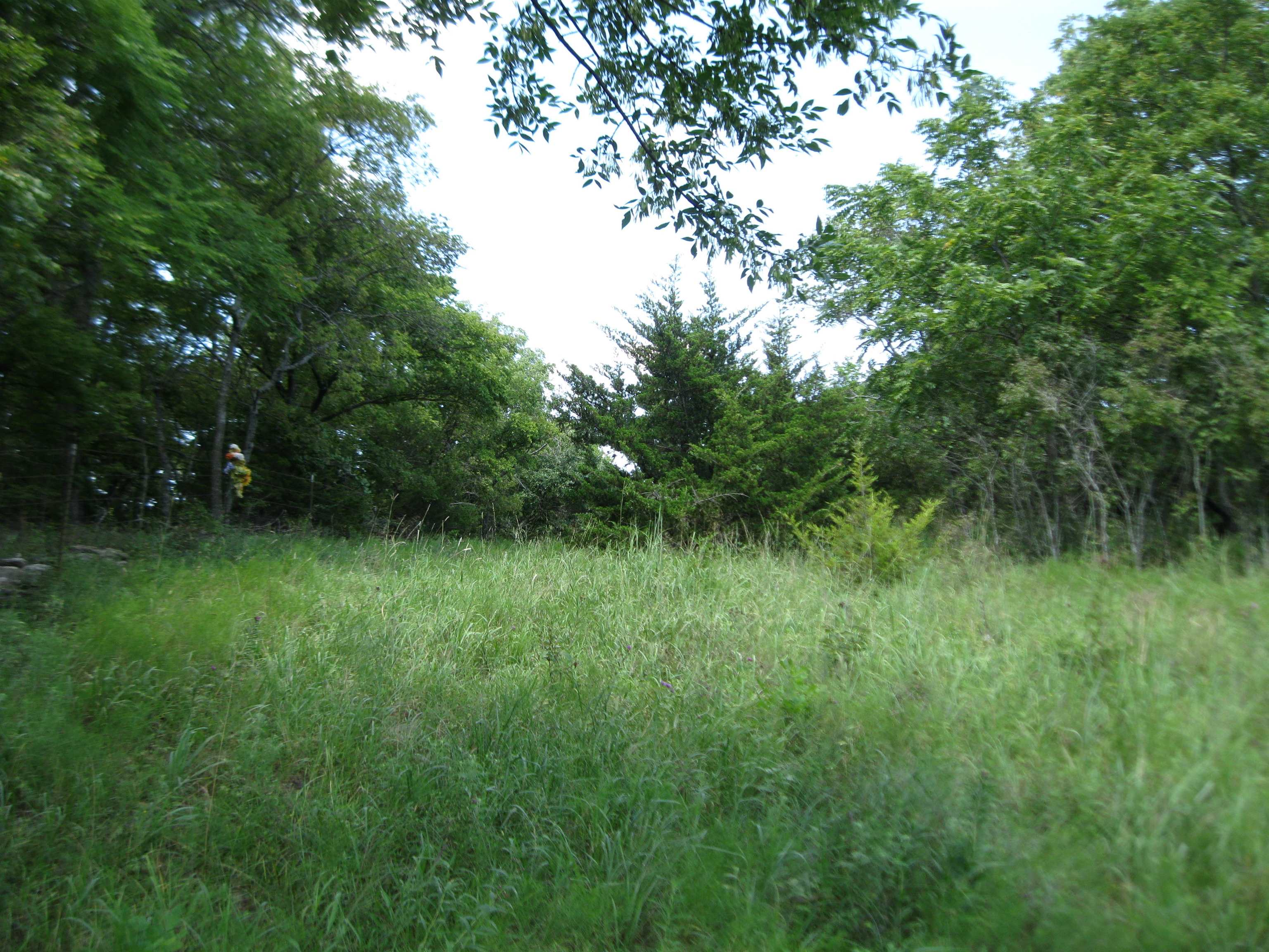 0 Quinter Rd. Property Photo 18