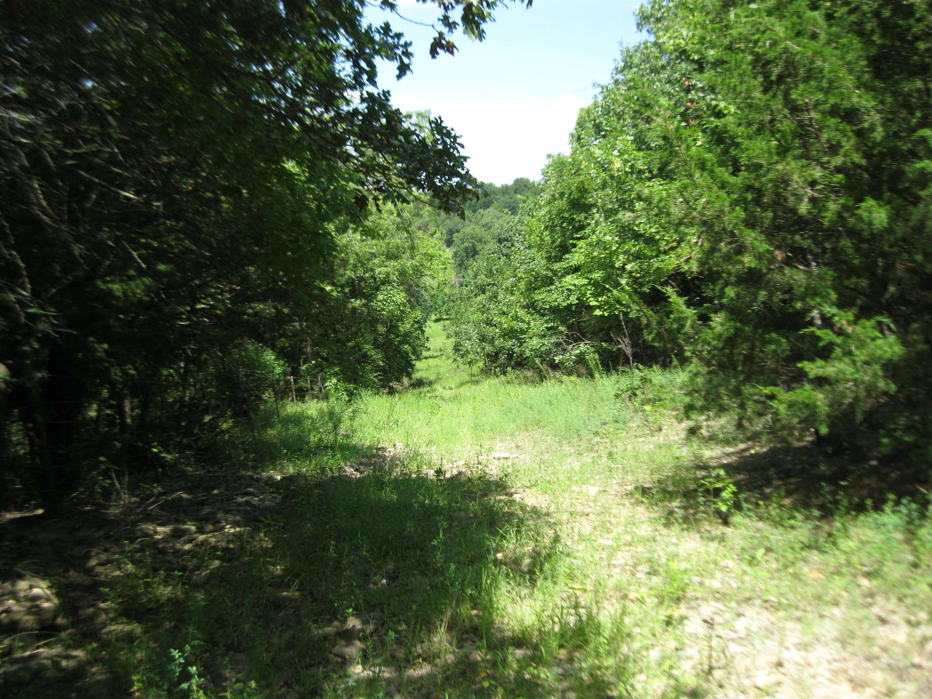 0 Quinter Rd. Property Photo 19