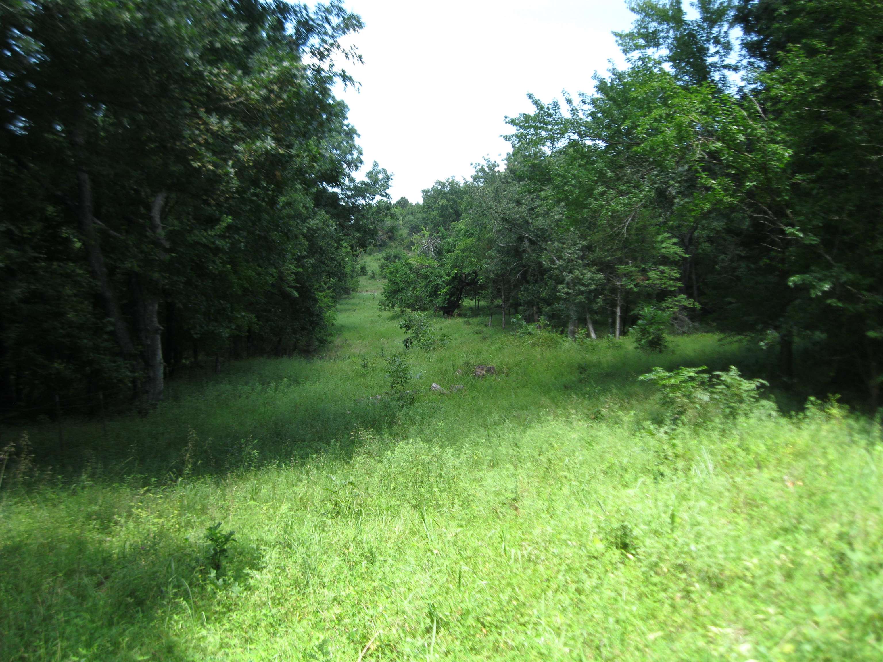 0 Quinter Rd. Property Photo 21