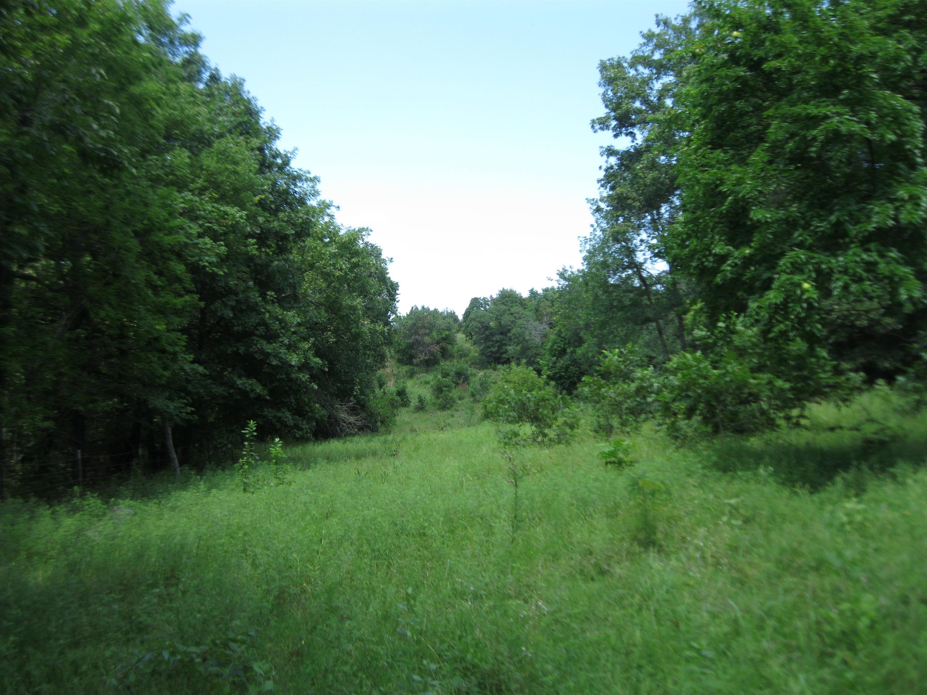 0 Quinter Rd. Property Photo 22