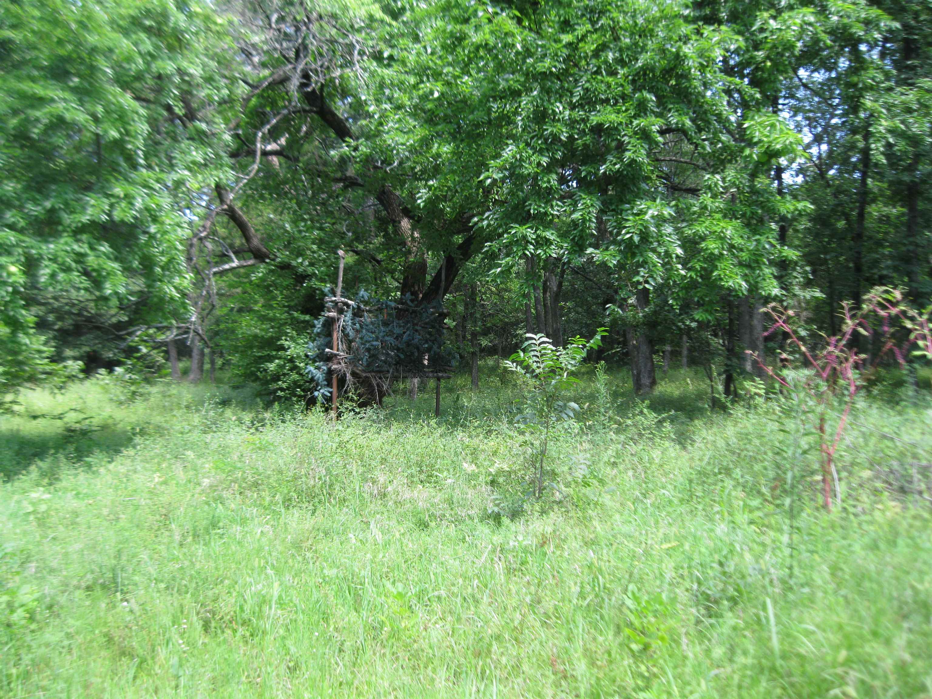 0 Quinter Rd. Property Photo 23