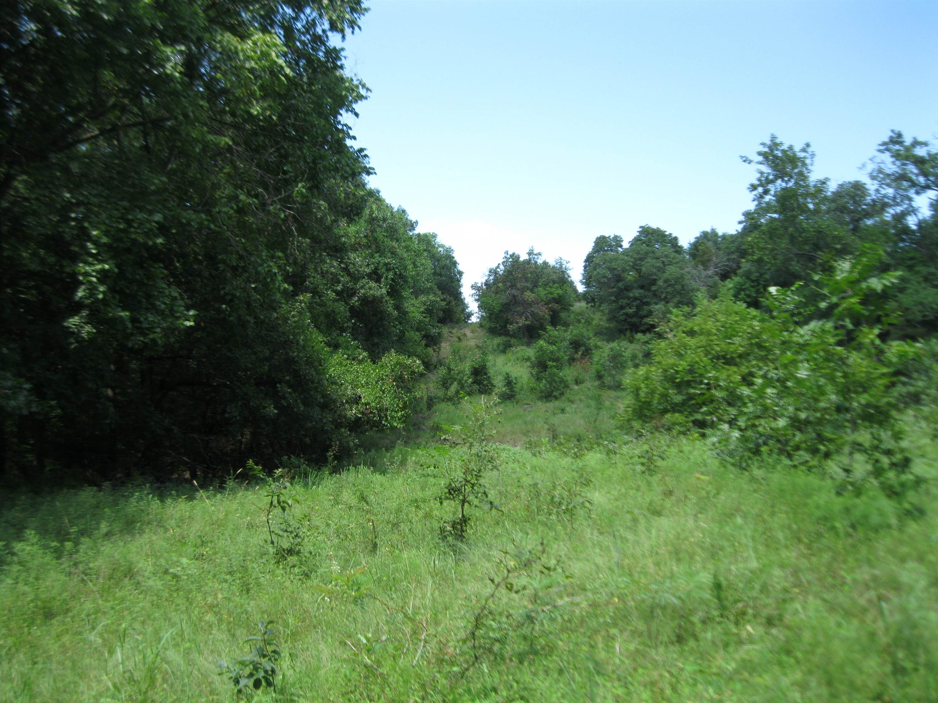 0 Quinter Rd. Property Photo 24