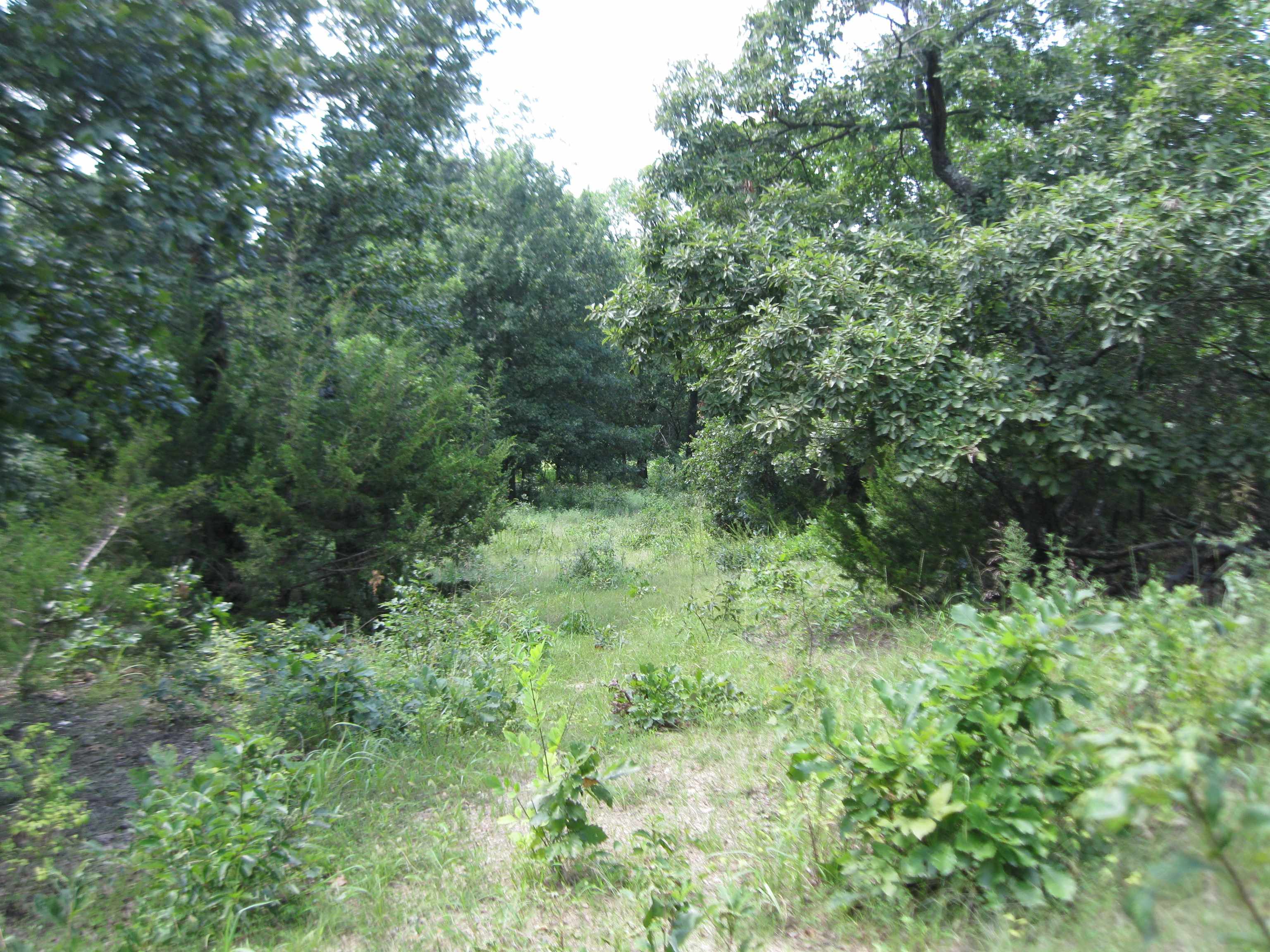 0 Quinter Rd. Property Photo 25