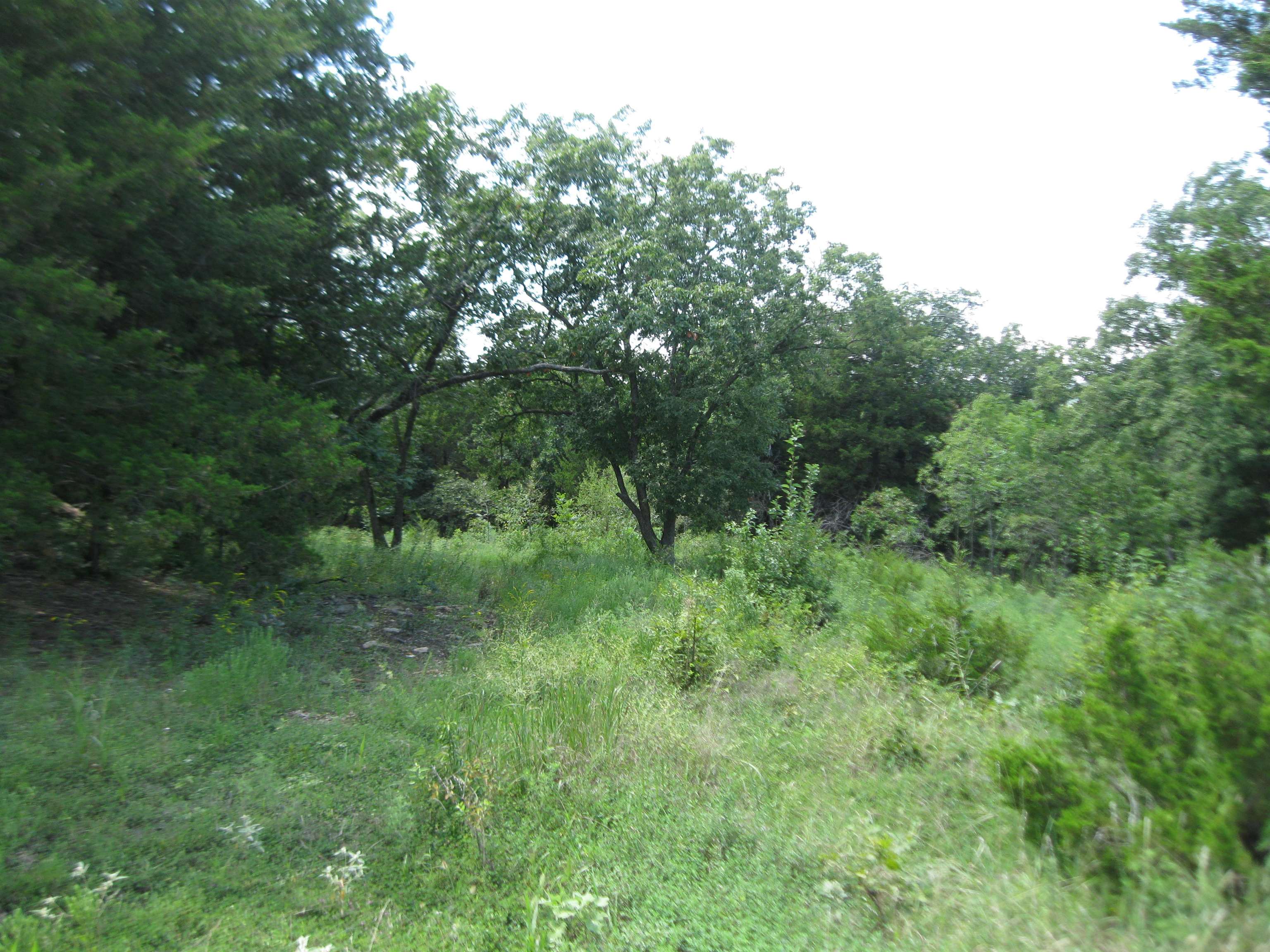 0 Quinter Rd. Property Photo 27