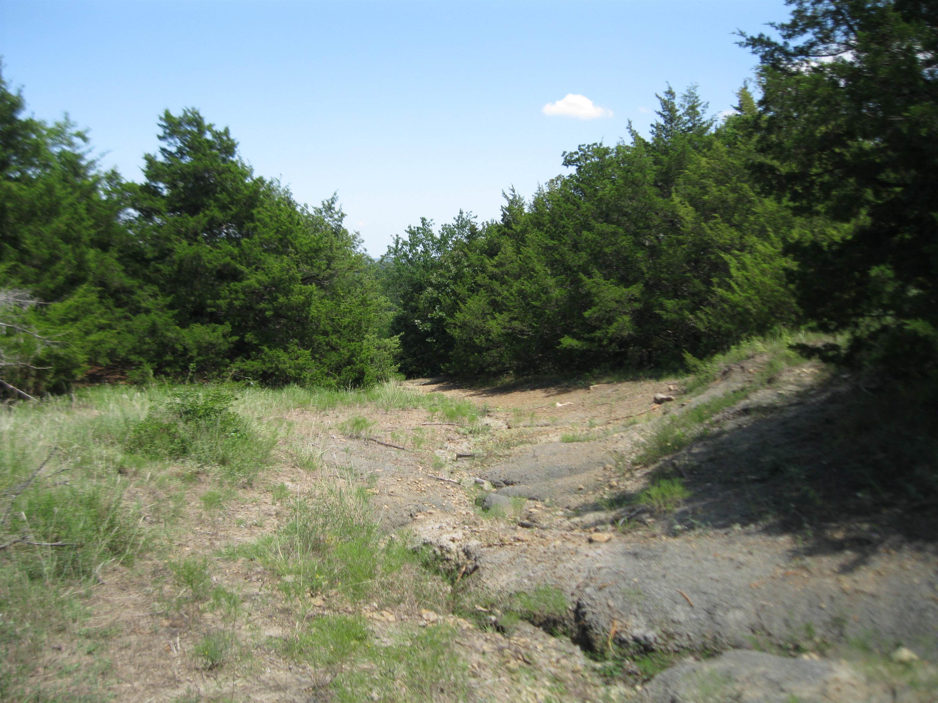 0 Quinter Rd. Property Photo 28