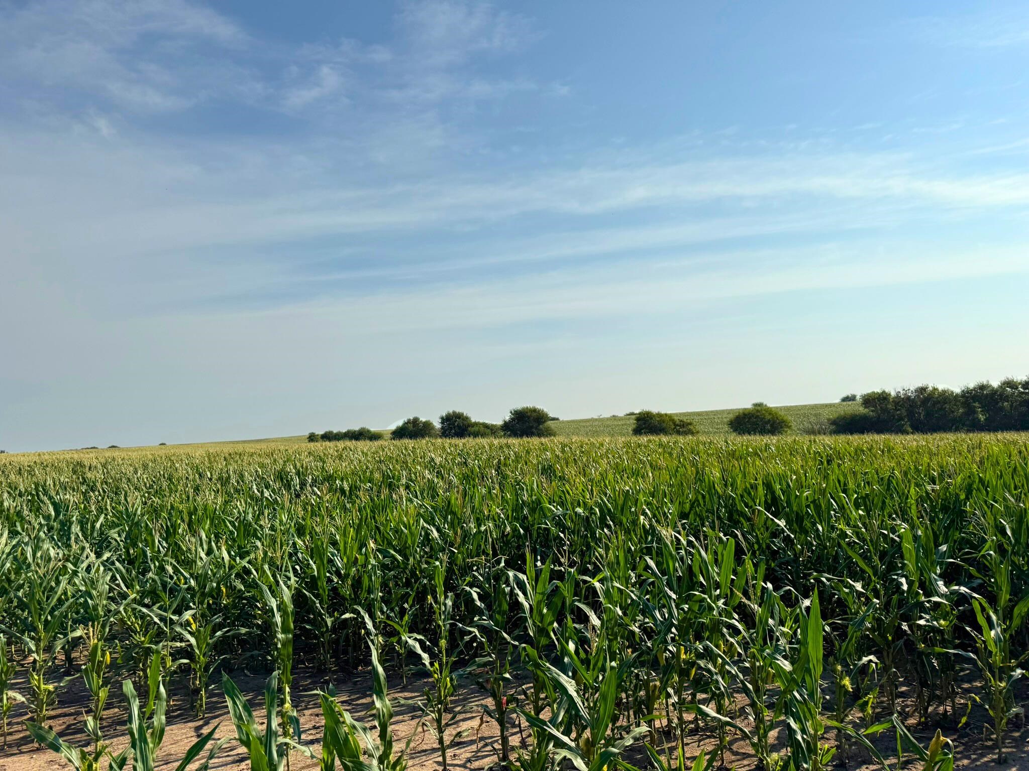 00000 Windmill Road Property Photo 1