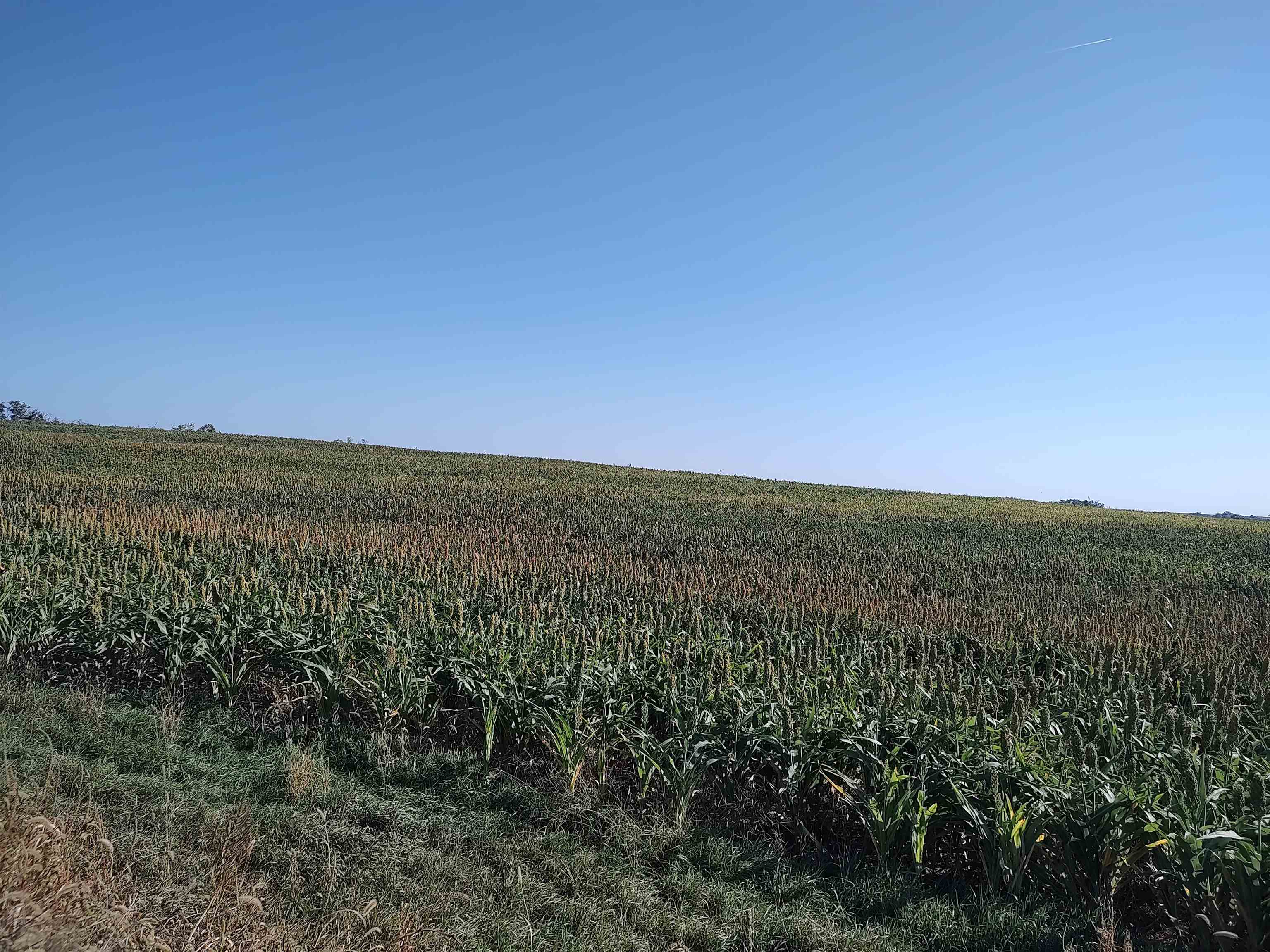 00000 E Wheat Dr. Property Photo 1