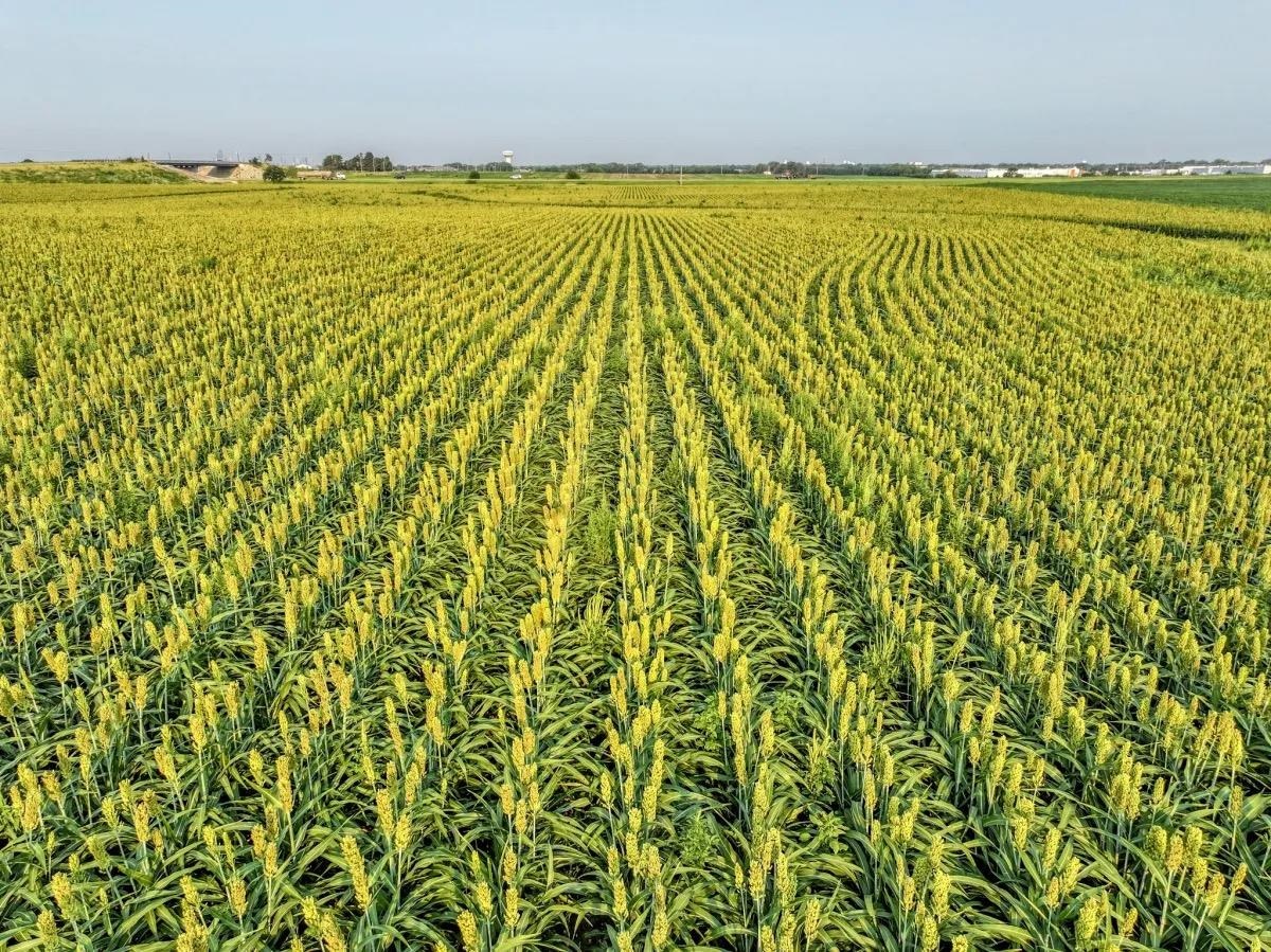 000 Kiowa Rd Property Photo 4