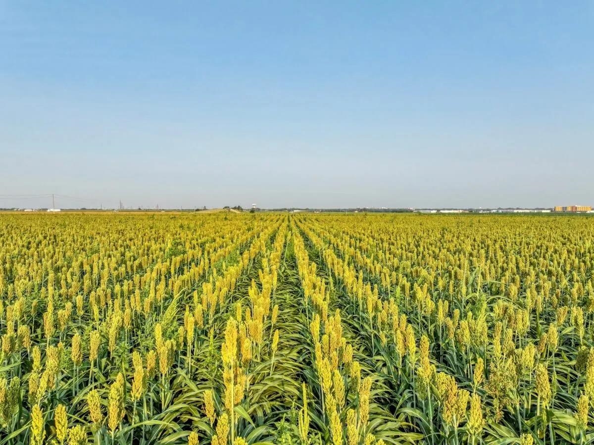 000 Kiowa Rd Property Photo 5