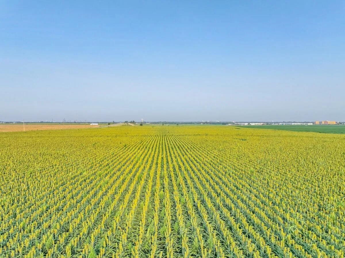 000 Kiowa Rd Property Photo 6