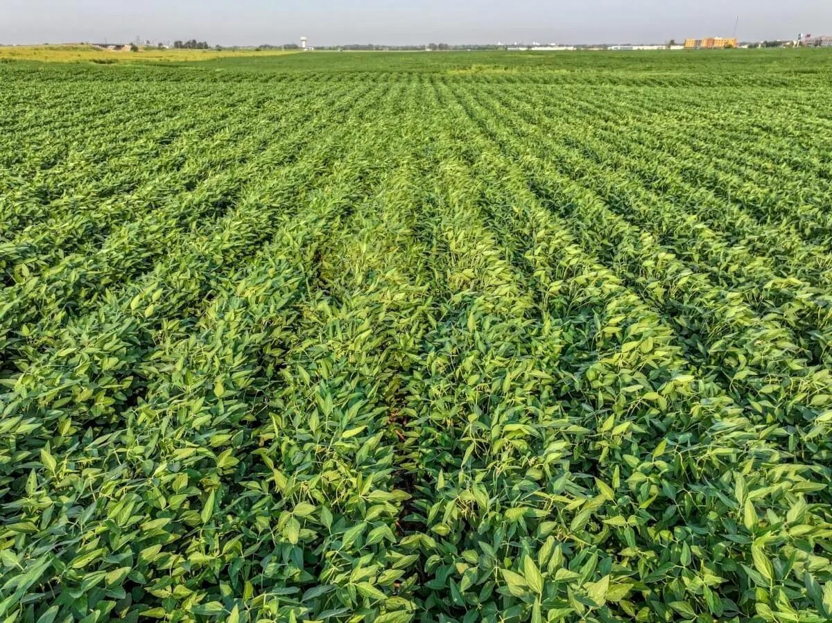 000 Kiowa Rd Property Photo 7