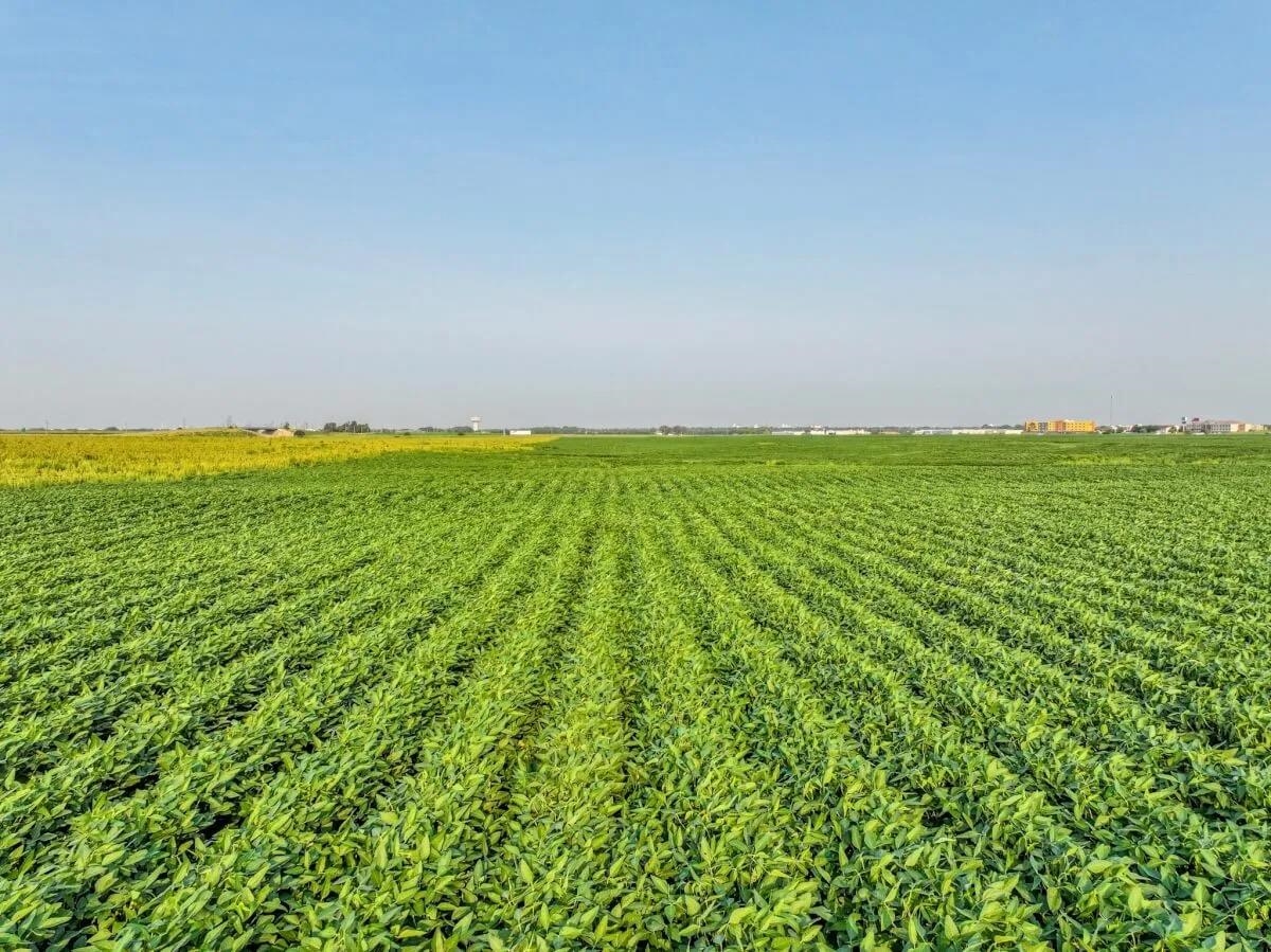 000 Kiowa Rd Property Photo 9