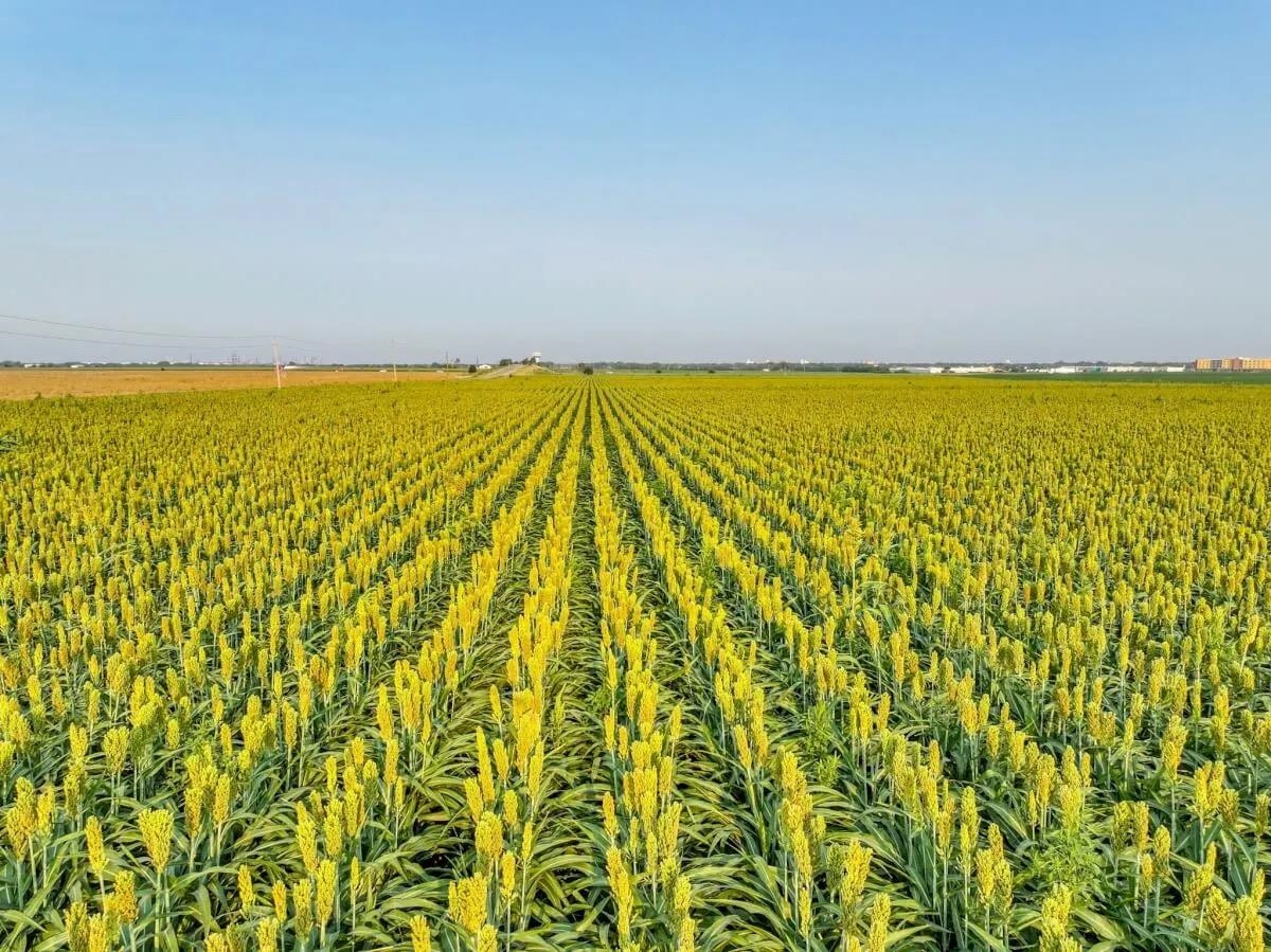 000 Kiowa Rd Property Photo 10