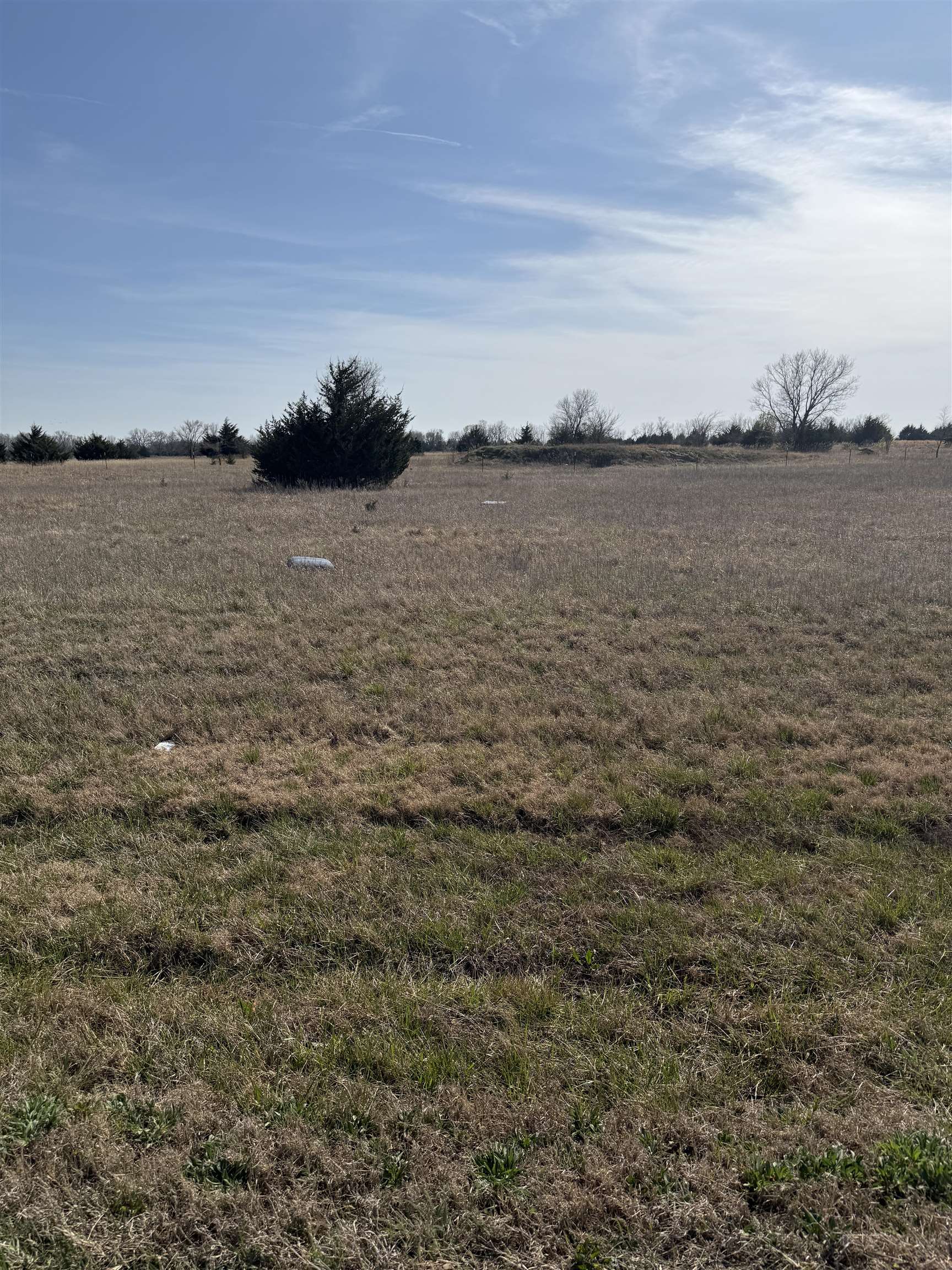 1667 W Bryce Dr. Property Photo 13